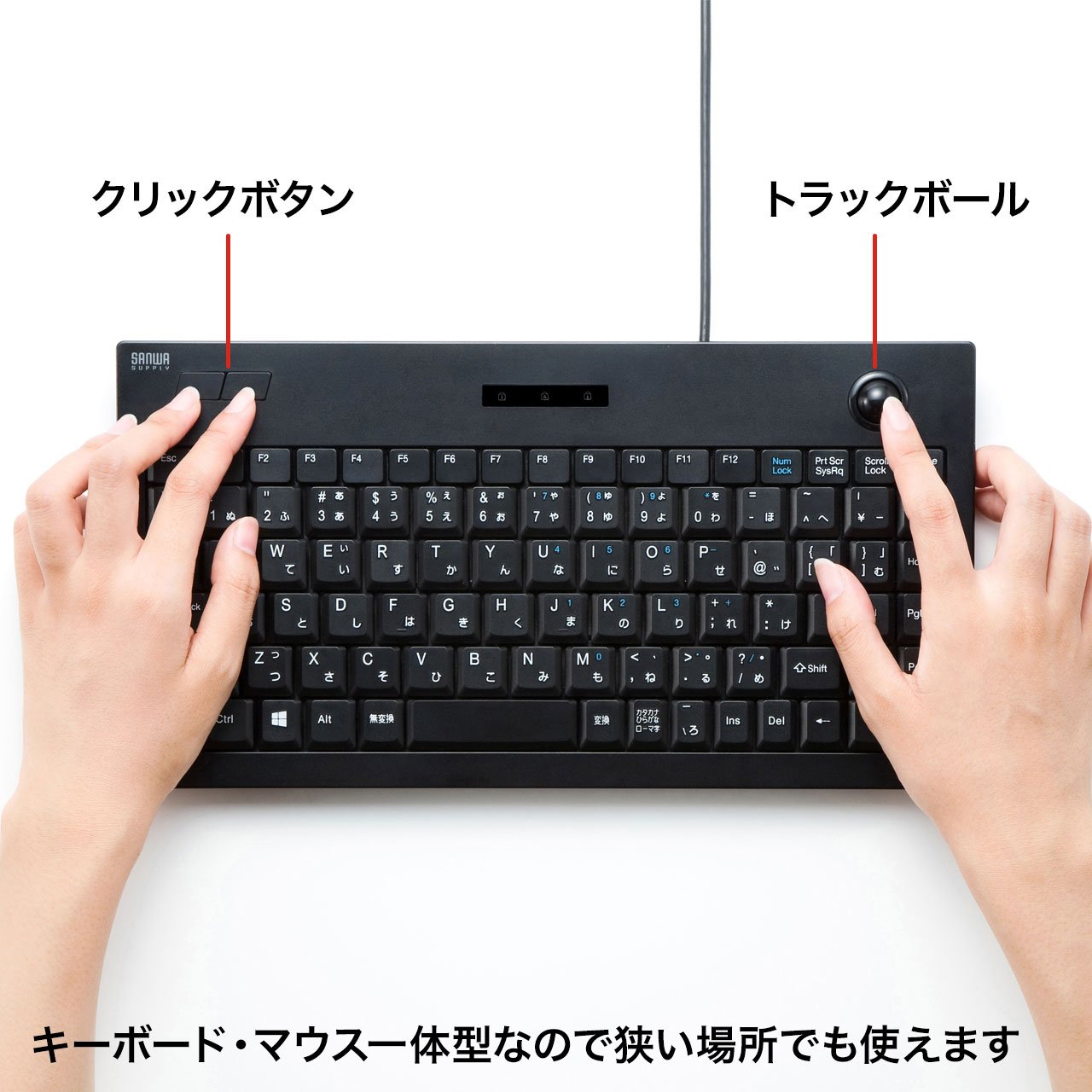 Sanwa Supply SKB-TR03BK Trackball Keyboard