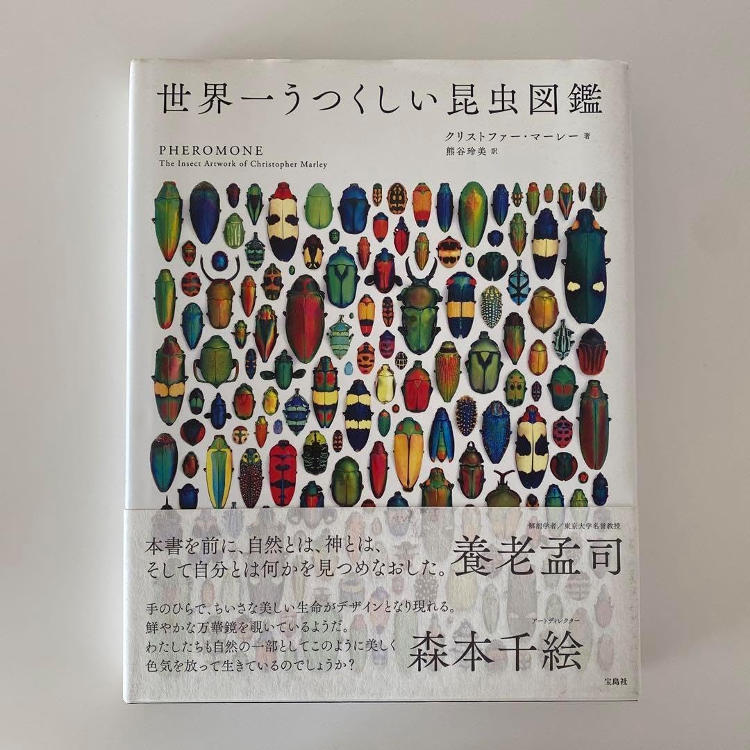 希少品]ワッペンセット まとめ売り約45枚 1960-1980年代※値下げ不可