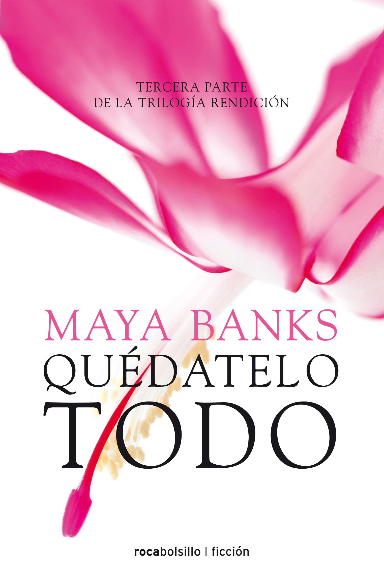 Quédatelo todo (Rendicion Trilogia, 3)