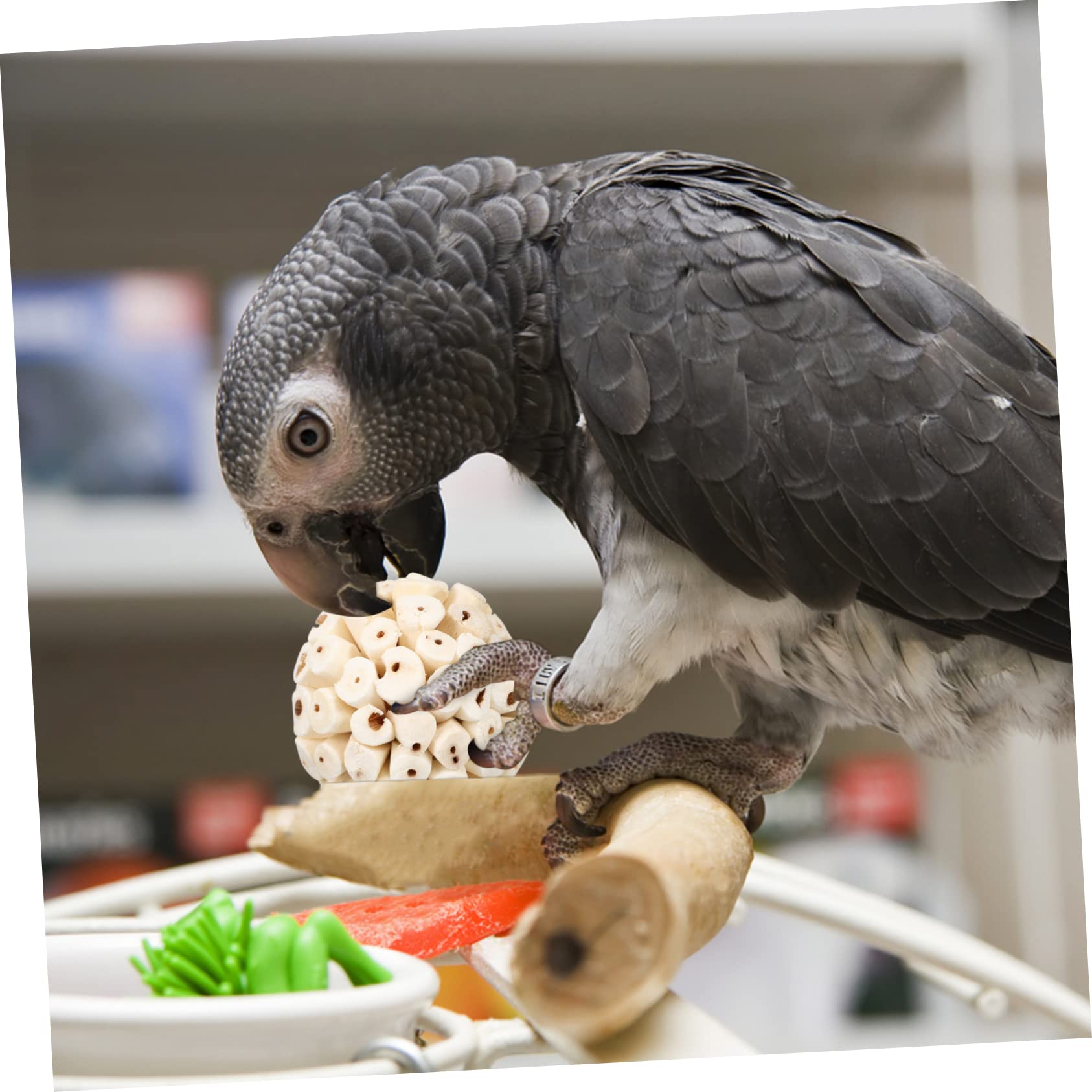 Toddmomy 12piezas Juguetes para Aves De Masticar De Goma para Entrenamiento De Coloridas y Divertidas para Periquitos Cotorras y Aves Pequeñas
