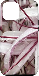 iPhone 12 Pro Max Queen Emma Crinum Lily Case