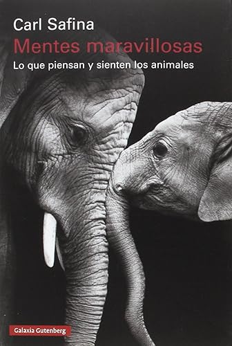 Mentes maravillosas: Lo que piensan y sienten los animales (Rústica)