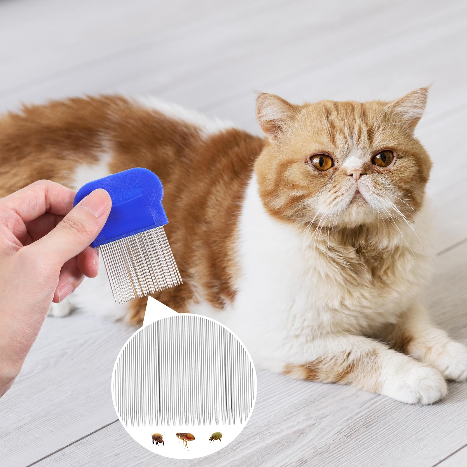 Molain Lot de 4 peignes anti-poux en métal pour chat et chien - Peigne anti-puces en plastique double face - Peigne anti-poux en acier inoxydable - Peigne à poux en métal - Bleu