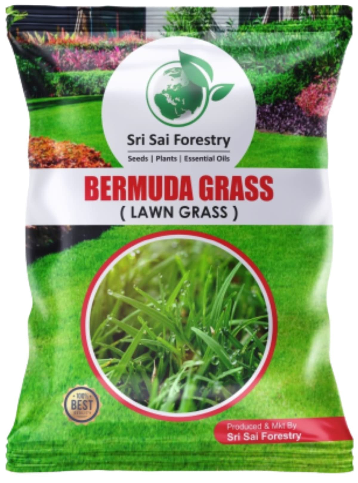 Bermuda Grass Seeds for Lawn Mini Pack 2000 Seeds, Bermuda Seed Grass (B0C39CCD89) Amazon Price History, Amazon Price Tracker