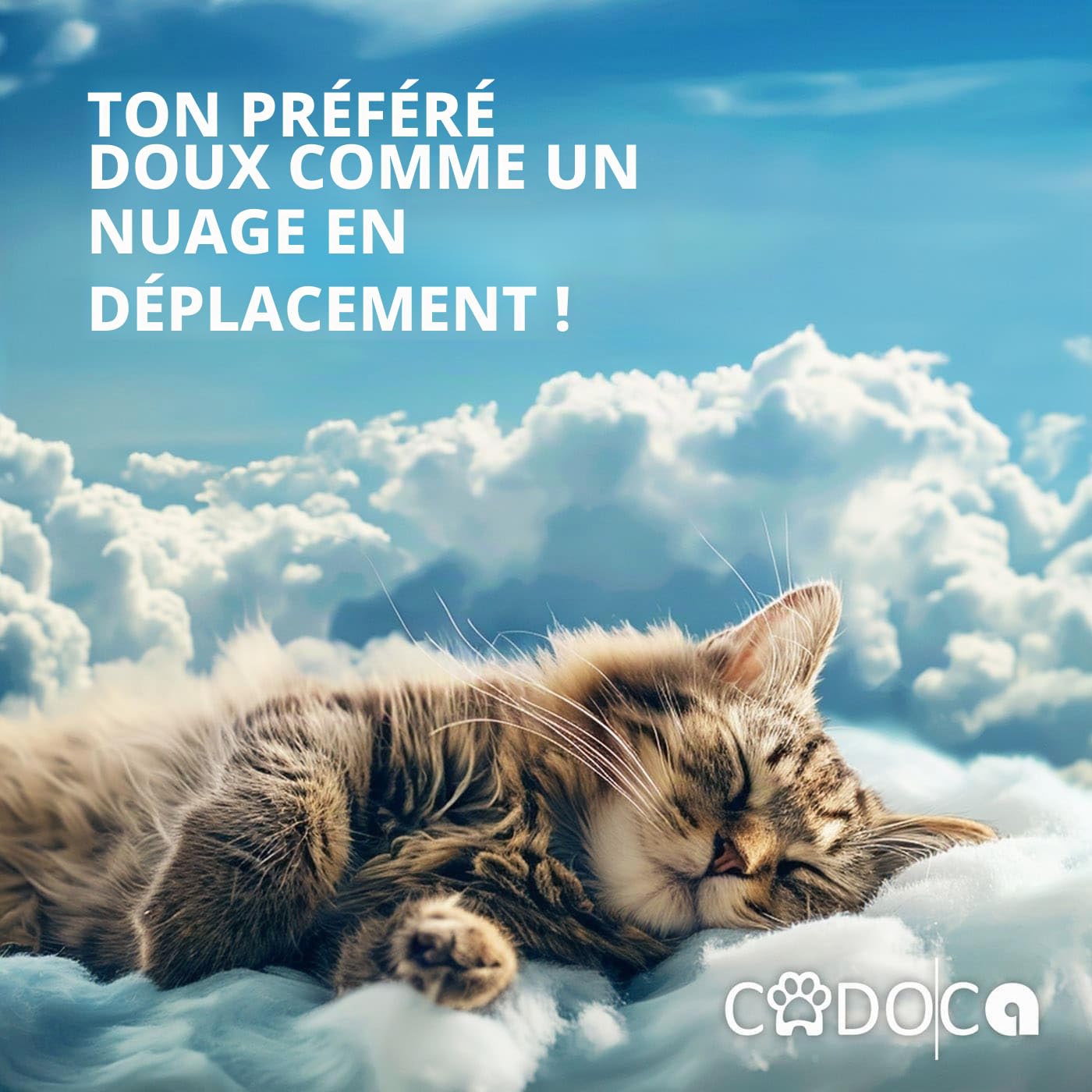 CADOCA® Sac à Dos pour Chat, Petit Chien, Animaux domestiques Beige 12 KG Poches latérales Laisse Incluse Sac de Transport