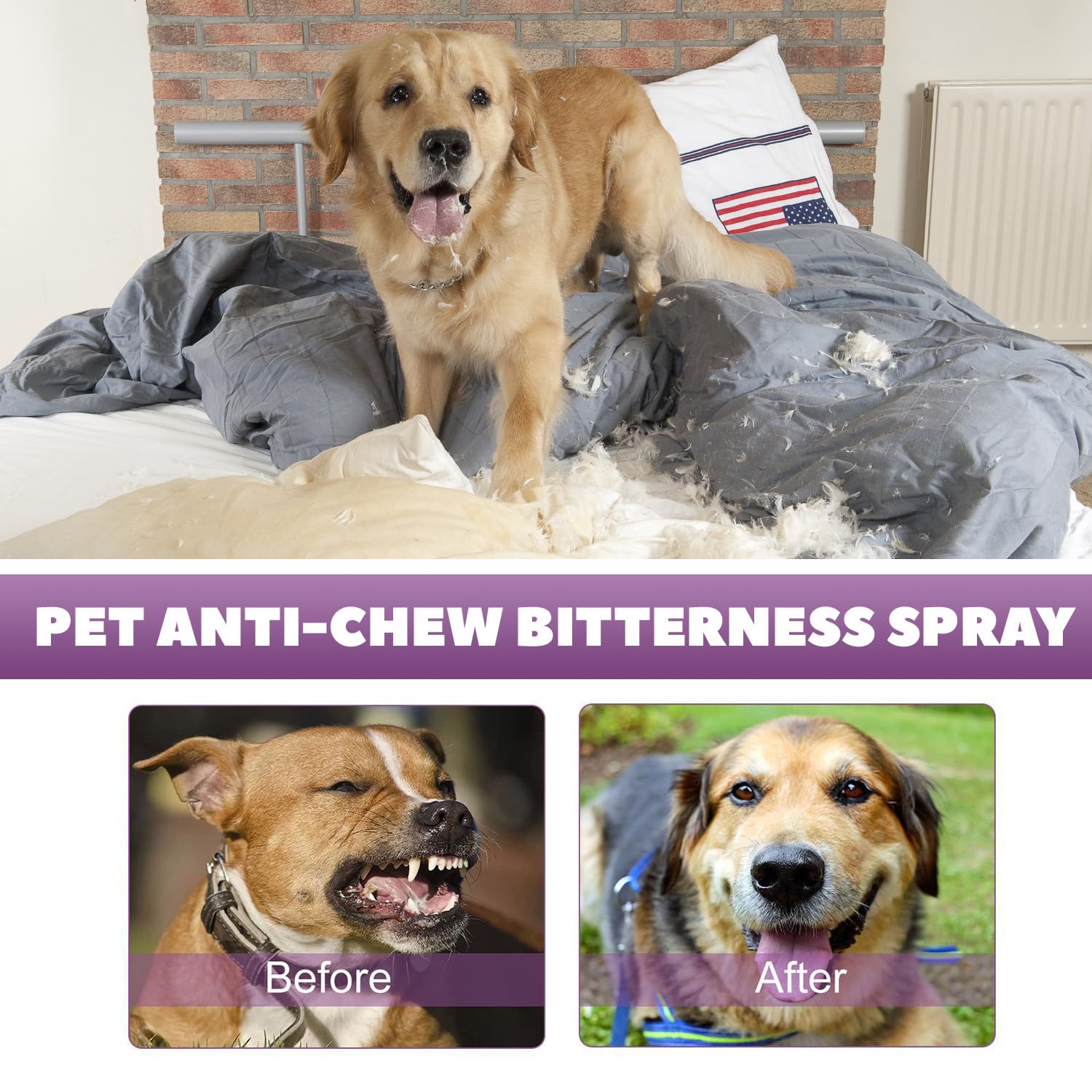 JoanofArc Calming Spray, Cat & Dog Calming Pheromone Spray 50ml with Diffuser Kit, Support Calmness, Stress Reduction, Stops Scratching & Barking for Home Travel, Safe for Pets - image 5