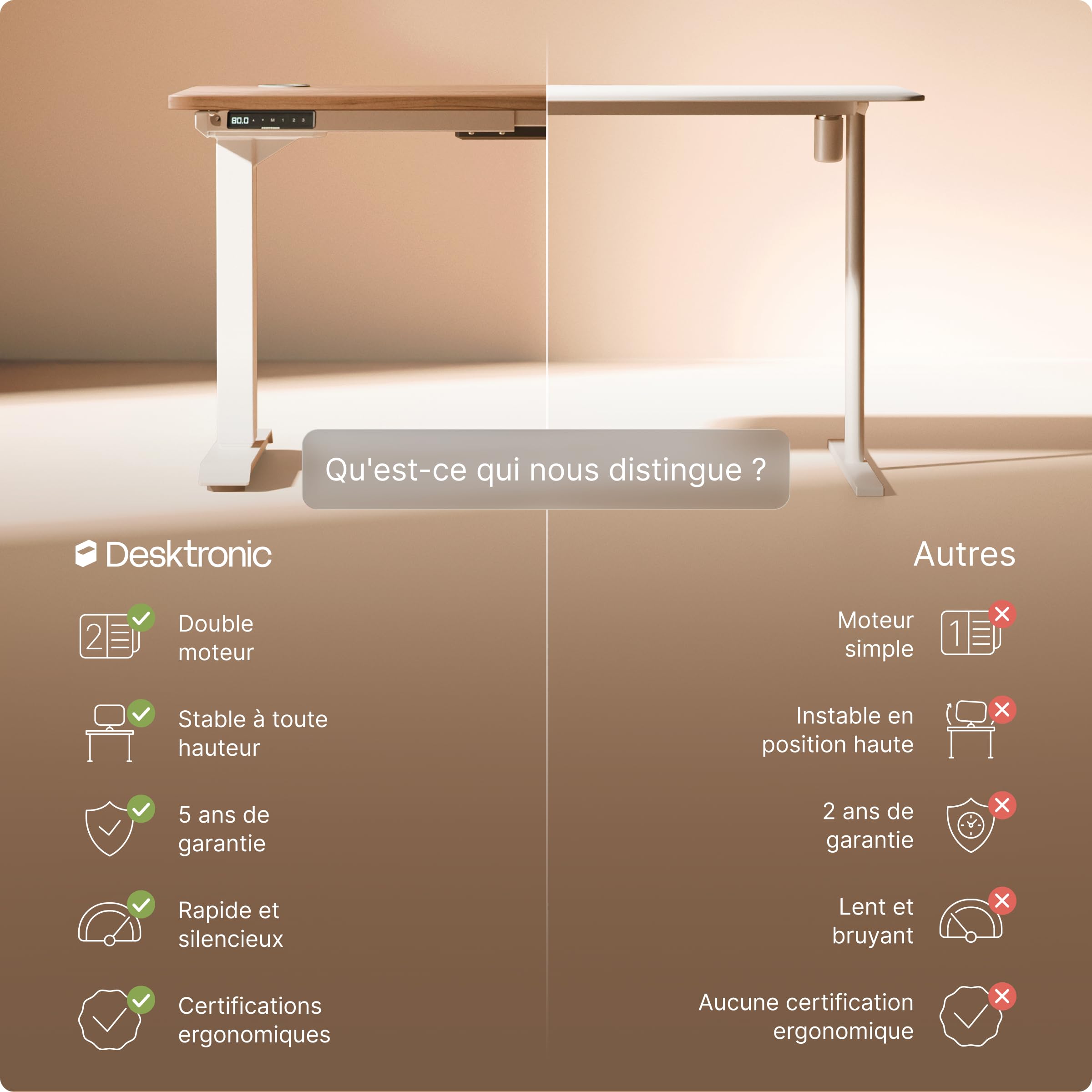 Desktronic Bureau Assis Debout Électrique 160x80 cm – Double Moteur Silencieux, Stabilité Renforcée, Réglable en Hauteur, Mémoire, USB-C HomePro
