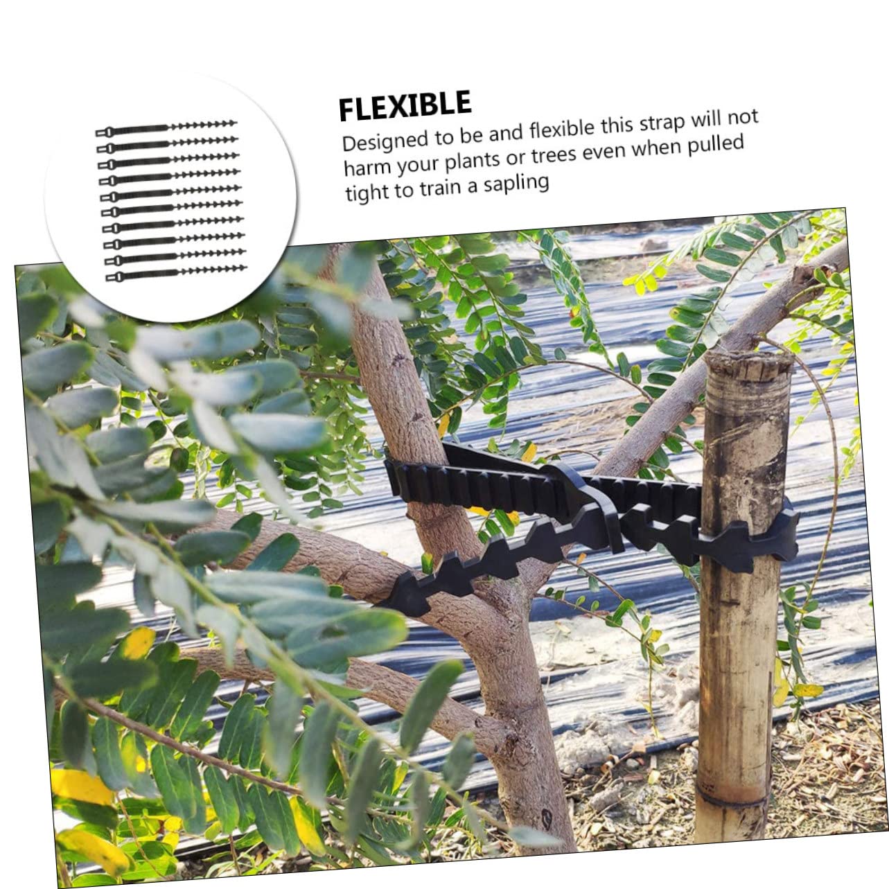 Gatuida 10 Stück Flexible Gummi Baumbefestigungsbänder zum Pflanzenbinden und Aststützen Verstellbar und Langlebig für Garten und Baumpflege