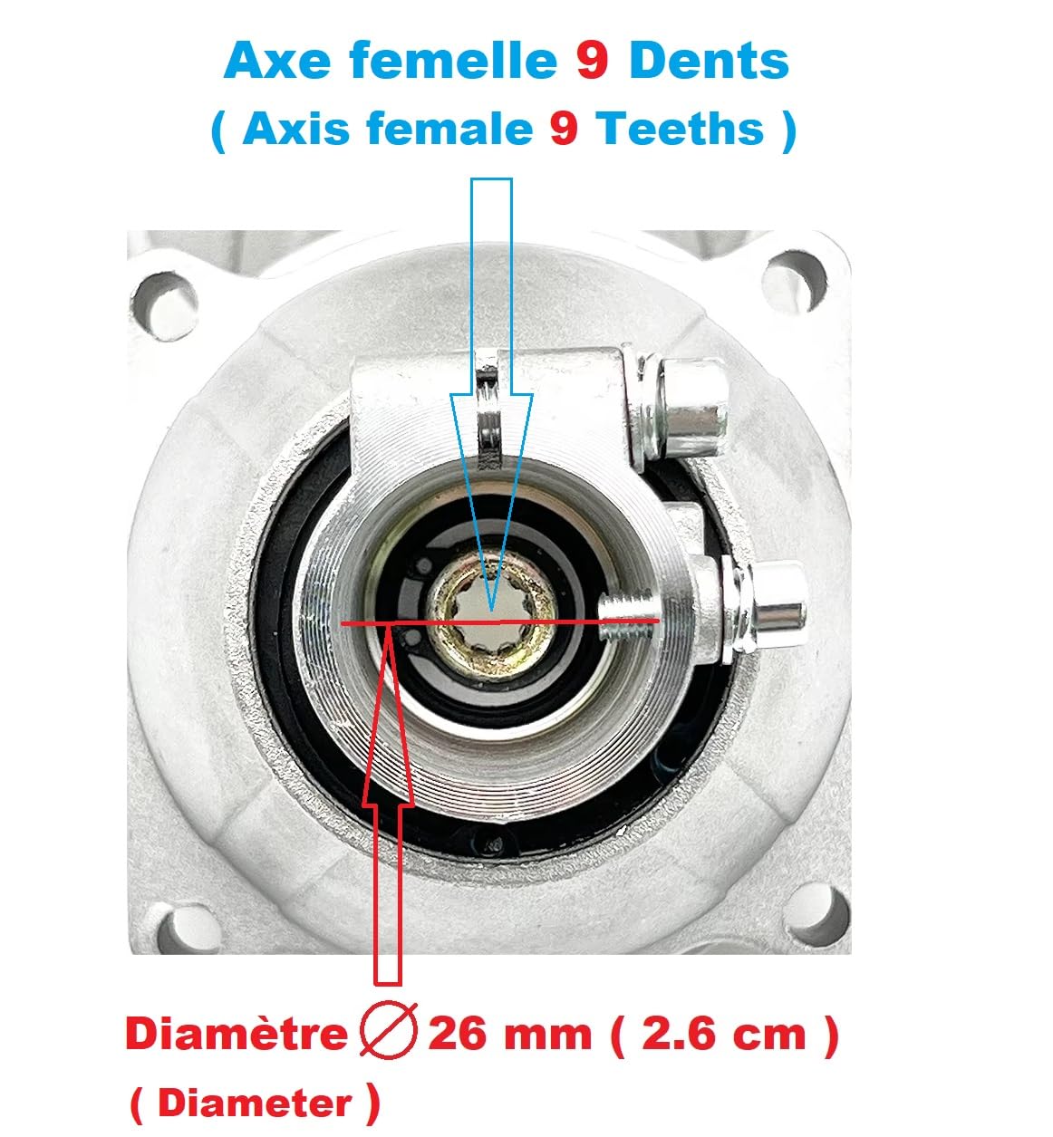 Pieza de repuesto original Fabricante: Campana de embrague para tubo 26 MM/eje 9 dientes para desbrozadora o máquina multifunción 5 en 1, comprueba tu modelo antes de realizar el pedido!