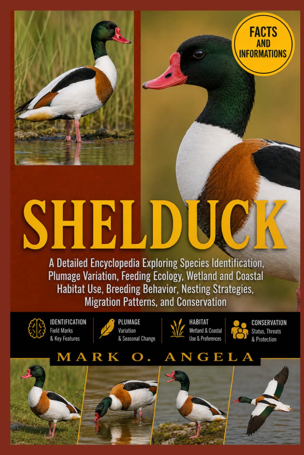 SHELDUCK: A Detailed Encyclopedia Exploring Species Identification, Plumage Variation, Feeding Ecology, Wetland and Coastal Habitat Use, Breeding ... Migration Patterns, and Conservation