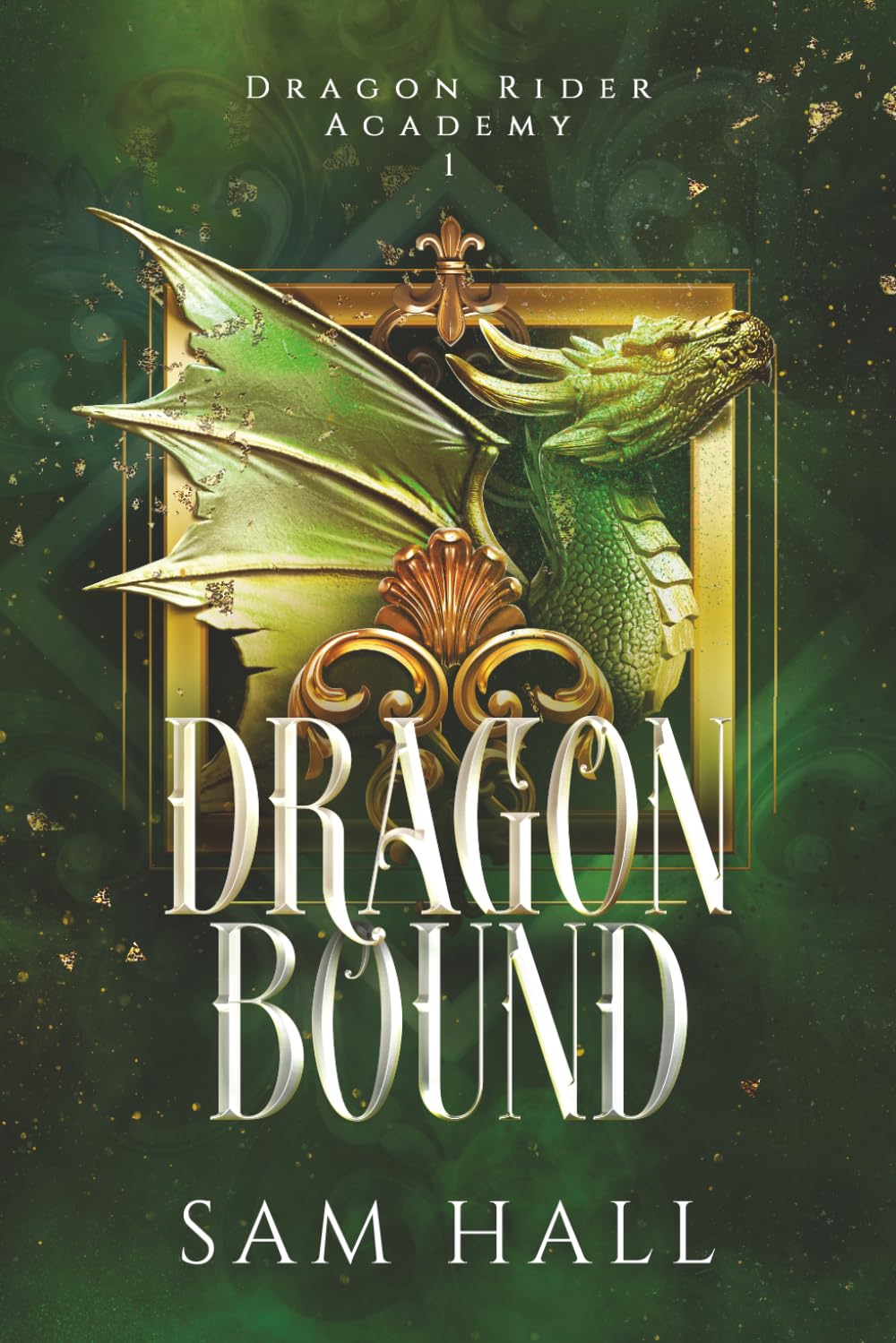 Dragon Bound: a curvy girl romantasy (Dragon Rider Academy)