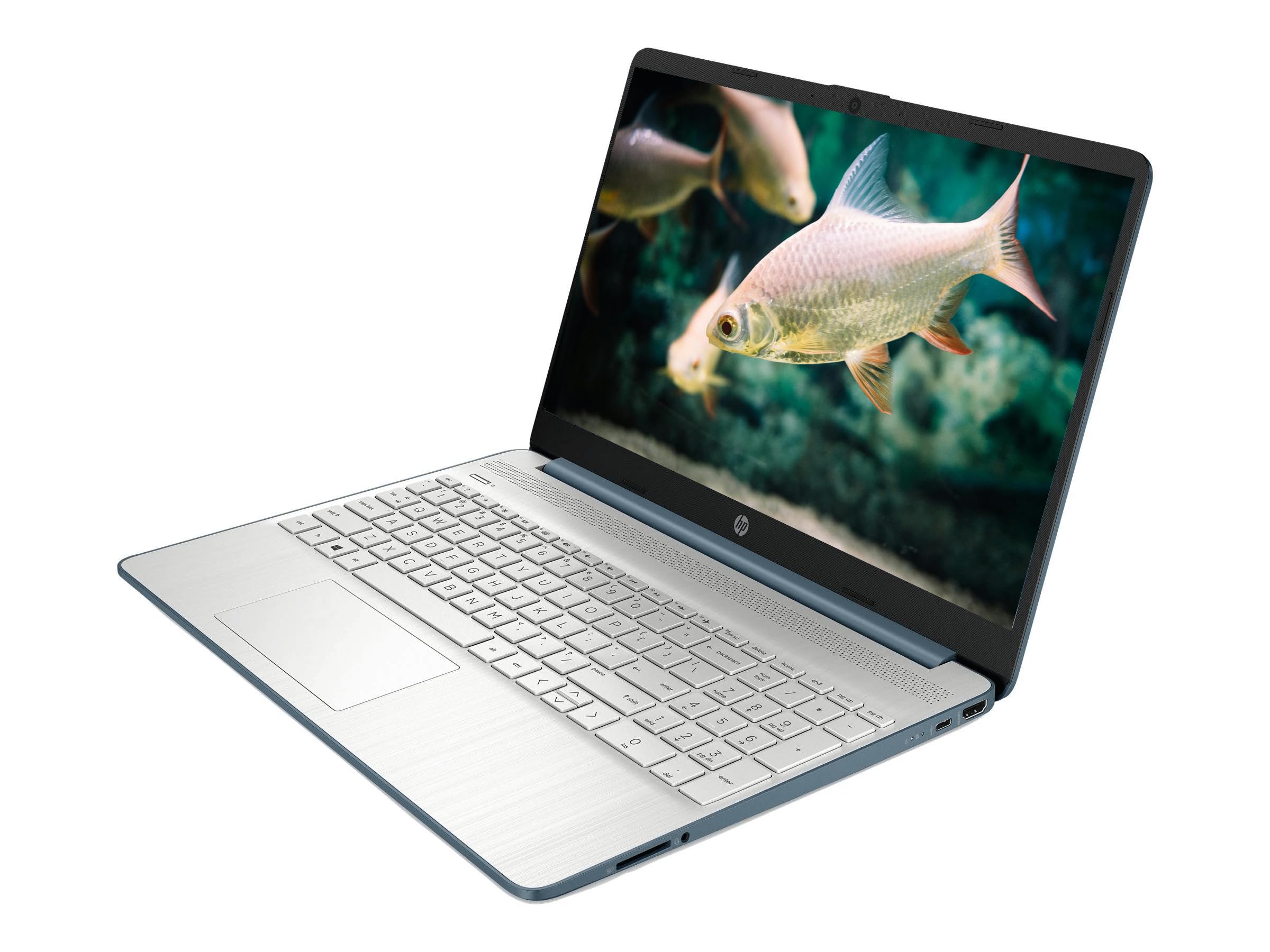 Amazon.com: HP 15.5