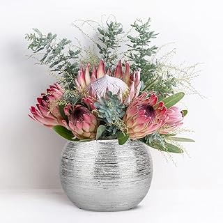 Silver Round Metallic Ceramic Planter Vase Indoor Decorative Centerpiece...