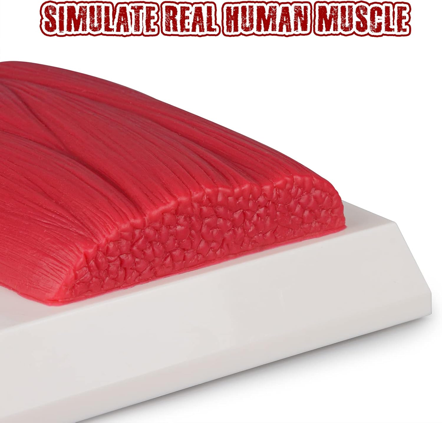 SimCoach Human Body Fat & Muscle Replica 1 Lb, Keep Fit &Fitness Motivation Reminder, Silicone Human Muscle Fat Model for Nutritionist, Athlete