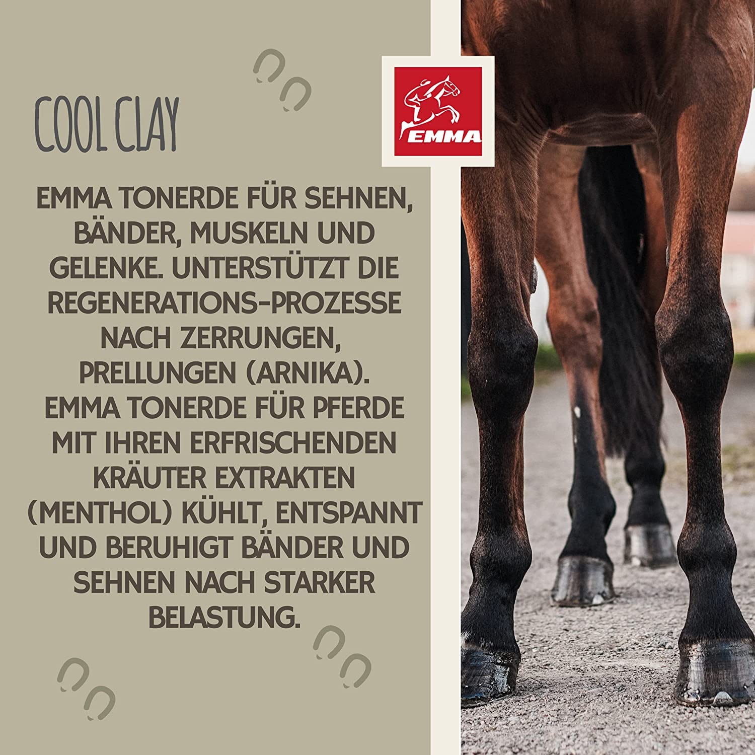 EMMA Kühlgel Pferd 1 L + Pferdesalbe 500 ml mit Arnika & Menthol | Kalt-Warm-Pflegeset für Beine, Muskeln, Sehnen und Bänder – fettfreie Massagepflege nach Belastung