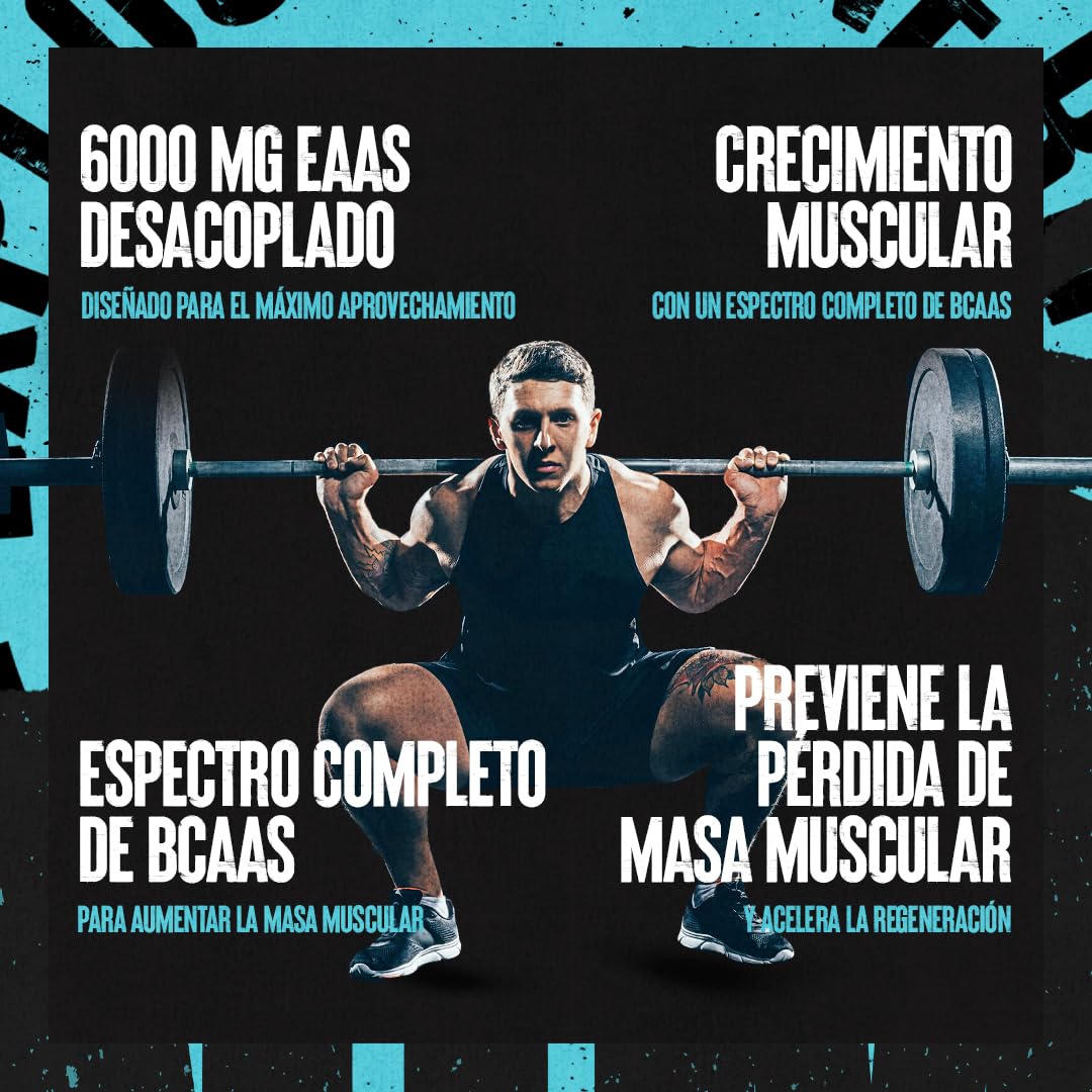 ANIMAL Nitro - aminoácidos EAA y BCAA para el desarrollo muscular y la regeneración - Aminoácidos esenciales para el fitness, el culturismo y los entrenamientos intensivos - 44 envases.