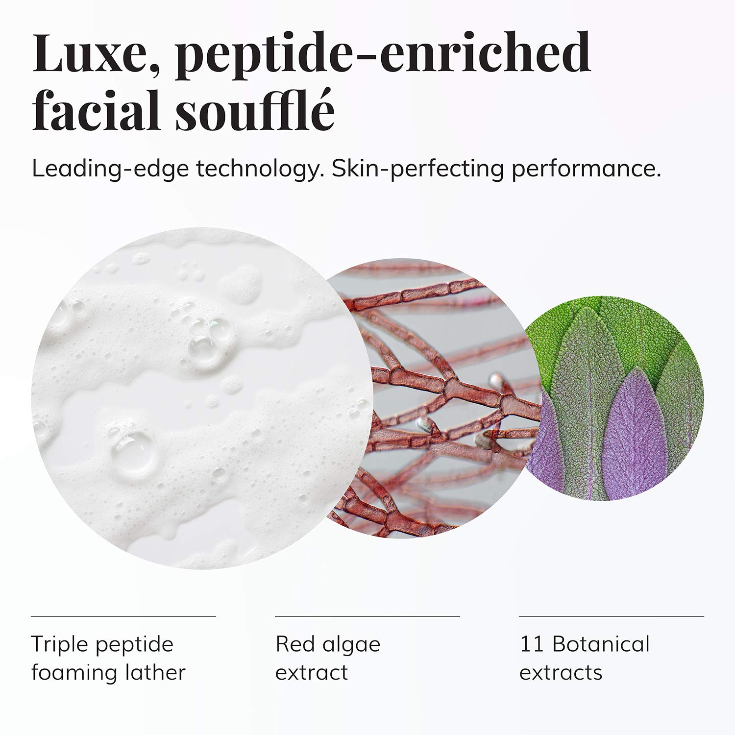 Le Mieux Peptide Foam Cleanser - Age Defying Face Wash with Marine Collagen & 3 Peptides for Glowing Skin, Foaming Cleanser for Dry Skin, No Parabens or Sulfates (6 oz / 180 ml) - Image 2