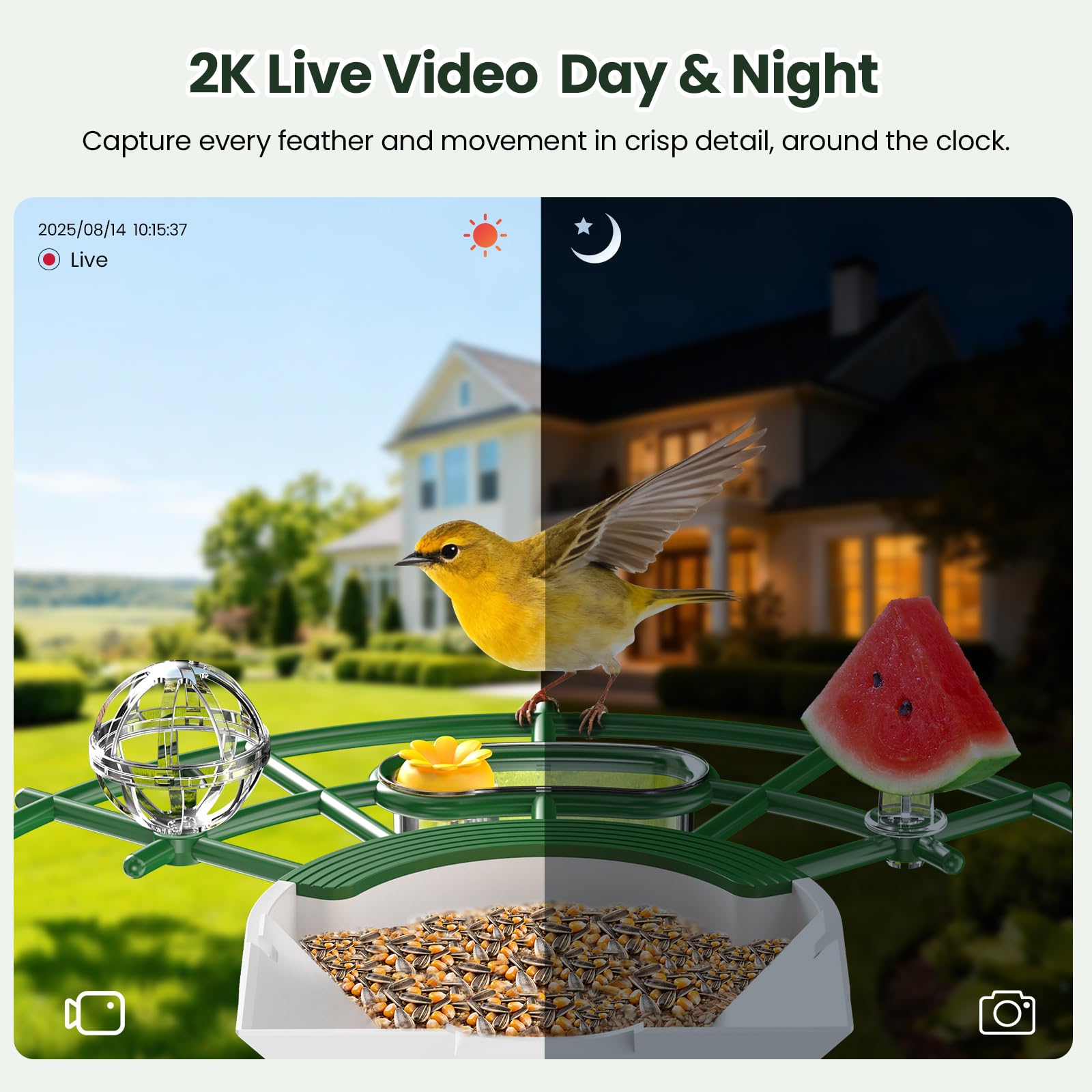 TECKNET Smart Bird Feeder Camera 2K UHD Review - Dettaglio