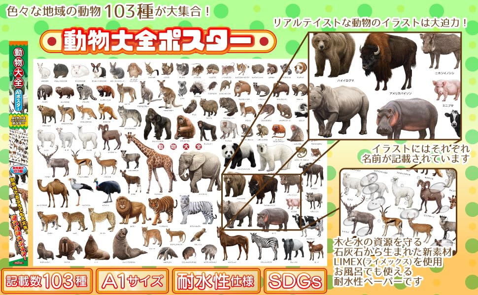 Amazon.co.jp: ザ・アクセス【動物大全 A1ポスター】動物 アニマル