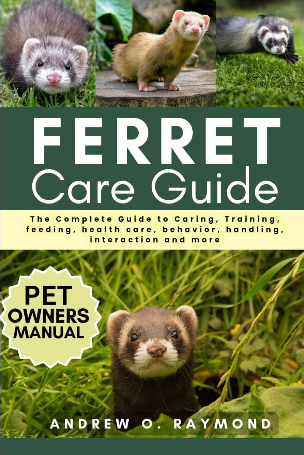 FERRET CARE GUIDE: The Complete Guide to Caring, Training, feeding, health care, behavior, handling, interaction and more