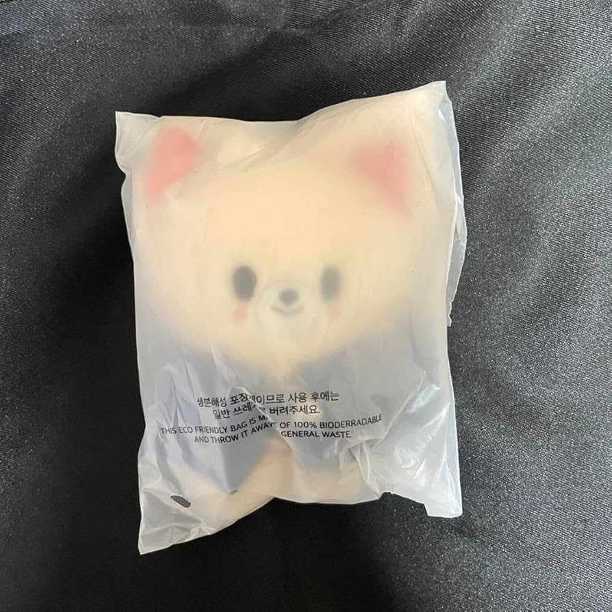 フォクシニー　foxl.ny pilot 10cm ぬいぐるみ SKZOO pilot 10cm ぬいぐるみ Foxl.ny I.N