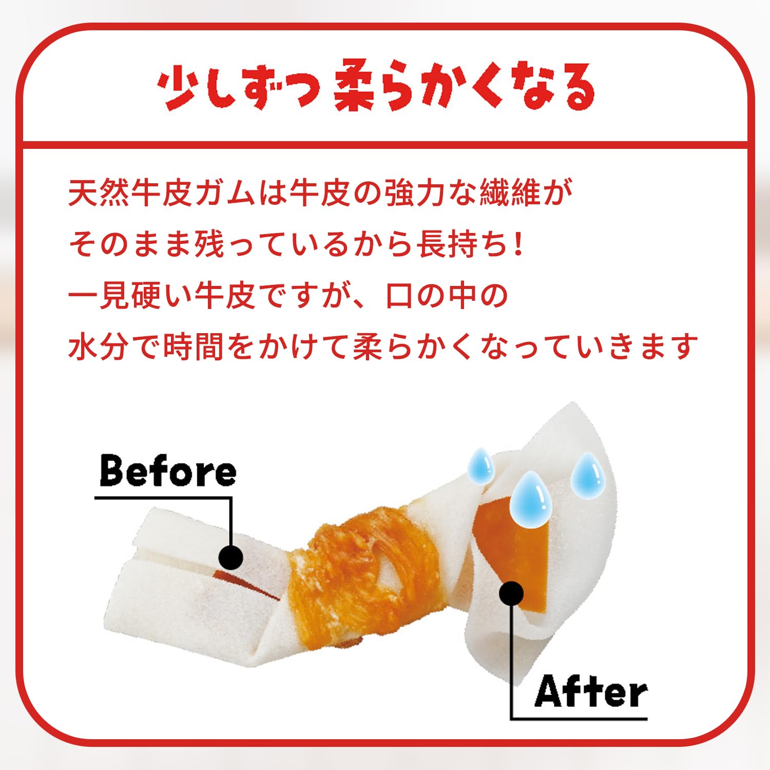 Amazon.co.jp: ディンゴ (DINGO) 犬 ガム おやつ チキンツイスト 30本