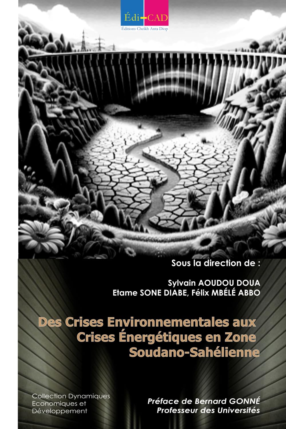 Des crises environnementales aux crises énergétiques en zone soudano-sahélienne