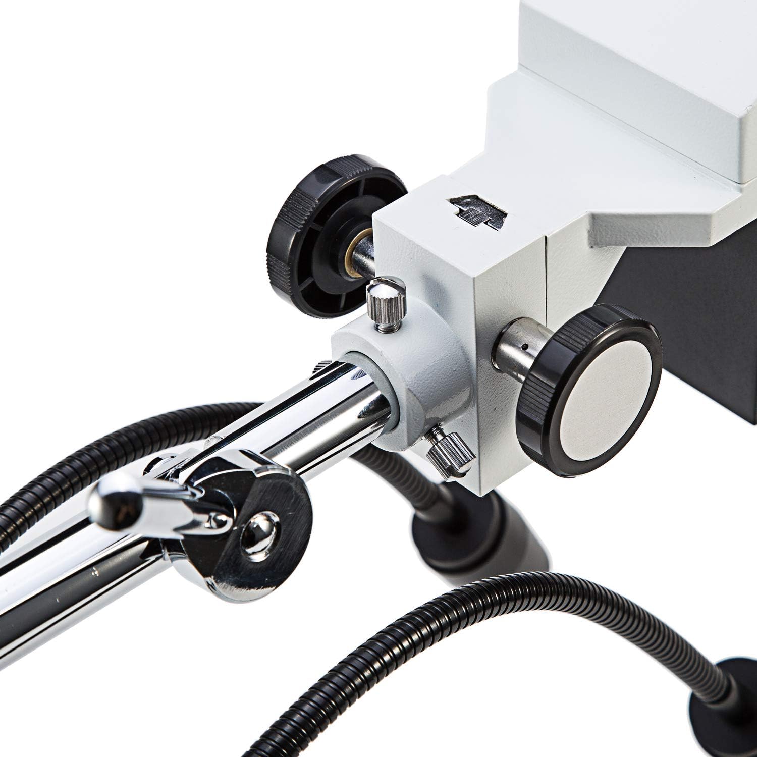 SWIFT Microscopio stereo binoculare 10X/20X ingrandimento grandangolo oculari 2 luci LED flessibili braccio orientabile compatibile con fotocamera S41-20