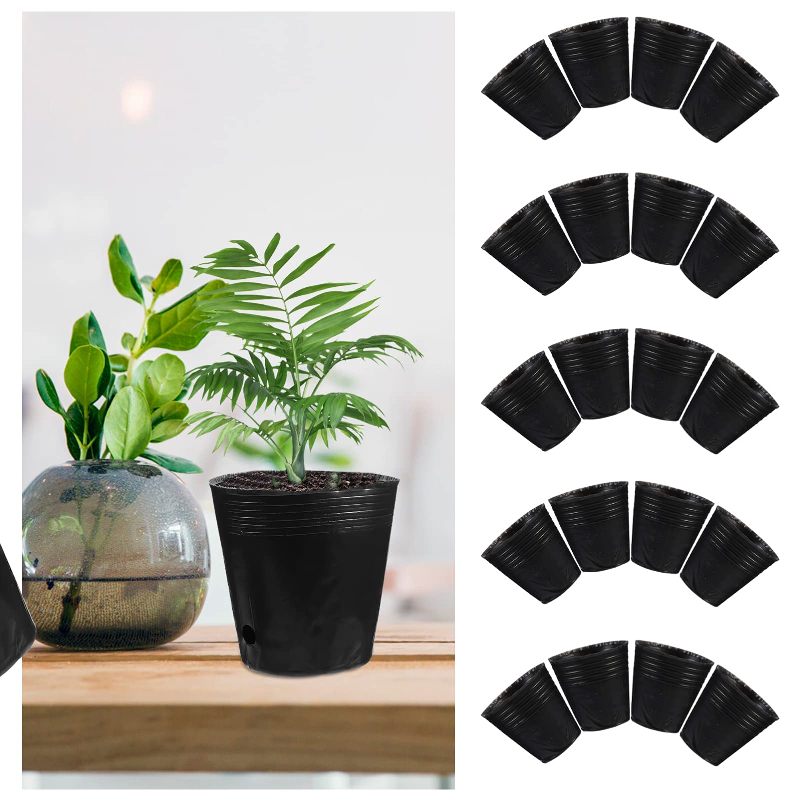 Cabilock Sottovasi In Plastica Per Piante – 5 Pezzi, Diametro 15 Cm, Nero, Per Interni/Esterni