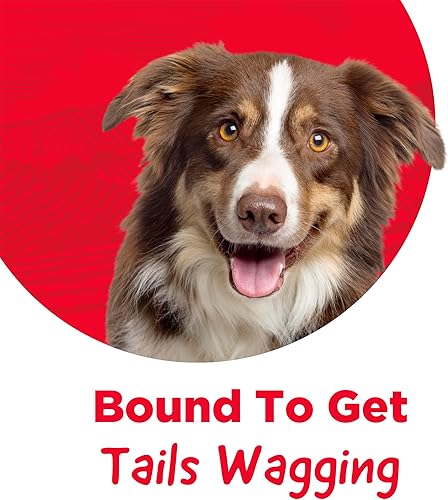 Country Kitchen Beef Rib Bones Dog Treats, 100% Natural, 3 Count(Pork,2 Count (Pack of 1))