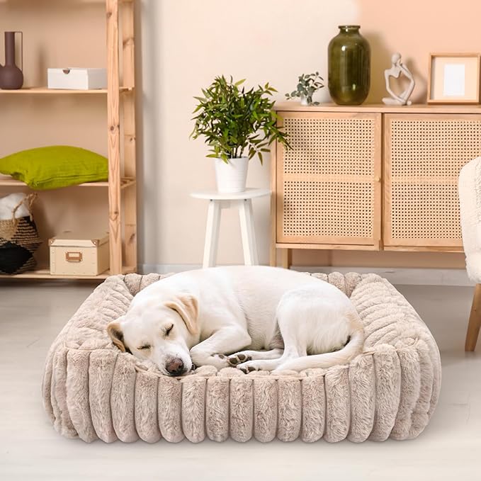 Cama Rectangular para Perros y Gatos Mediana 60x60cm Lavable miniatura 3