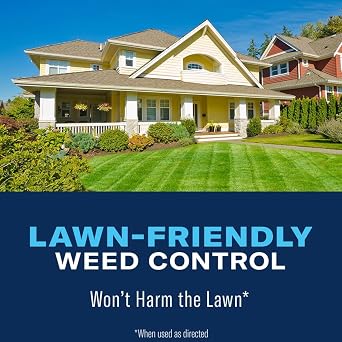 BioAdvanced All-in-One Lawn Weed & Crabgrass Killer Concentrate - 32 oz