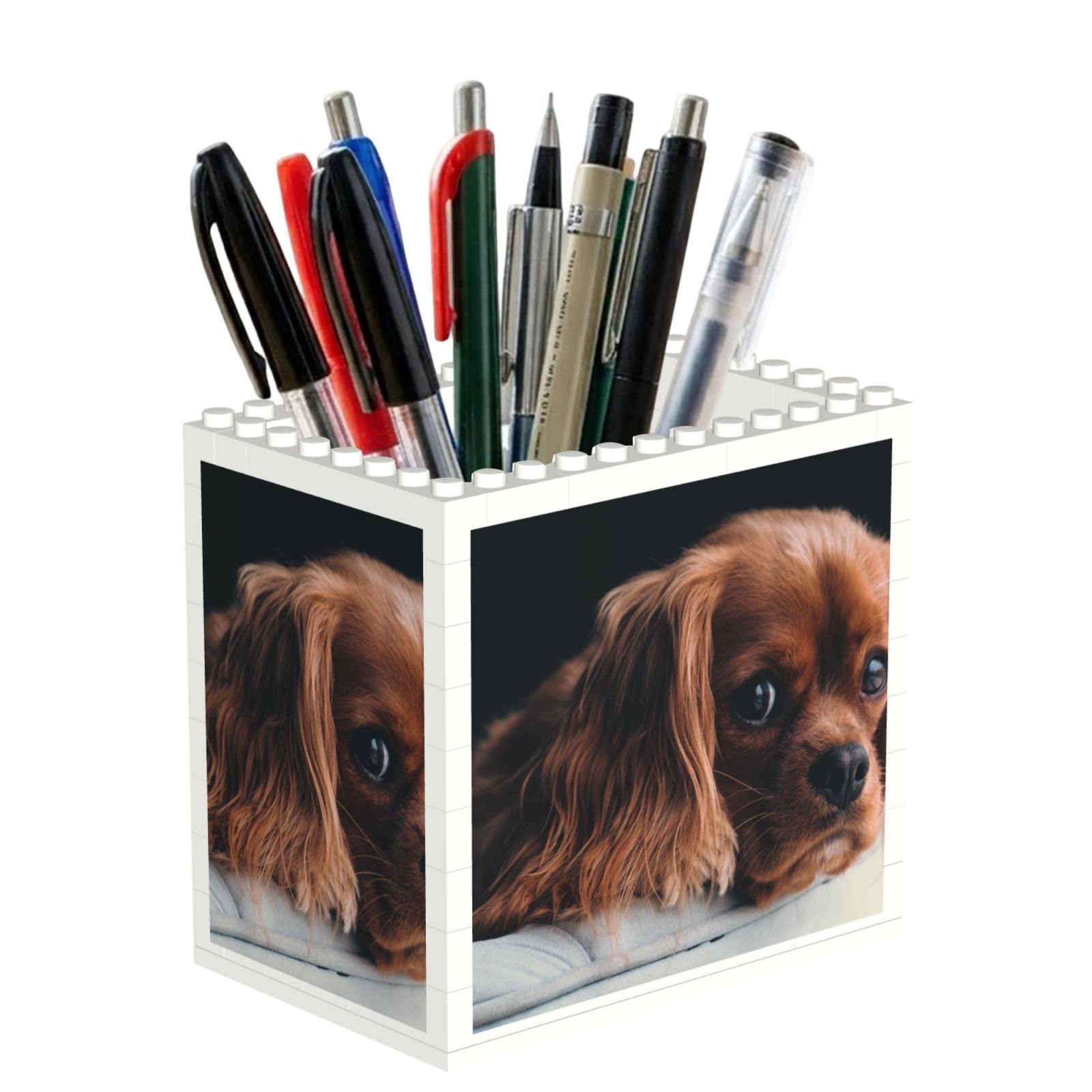 Poadnly Ruby Cavalier King Charles Spaniel Puppy Dog, Pen Pot Pencil Holder for Office Home School, Compact Desk Organiser for Office Stationery