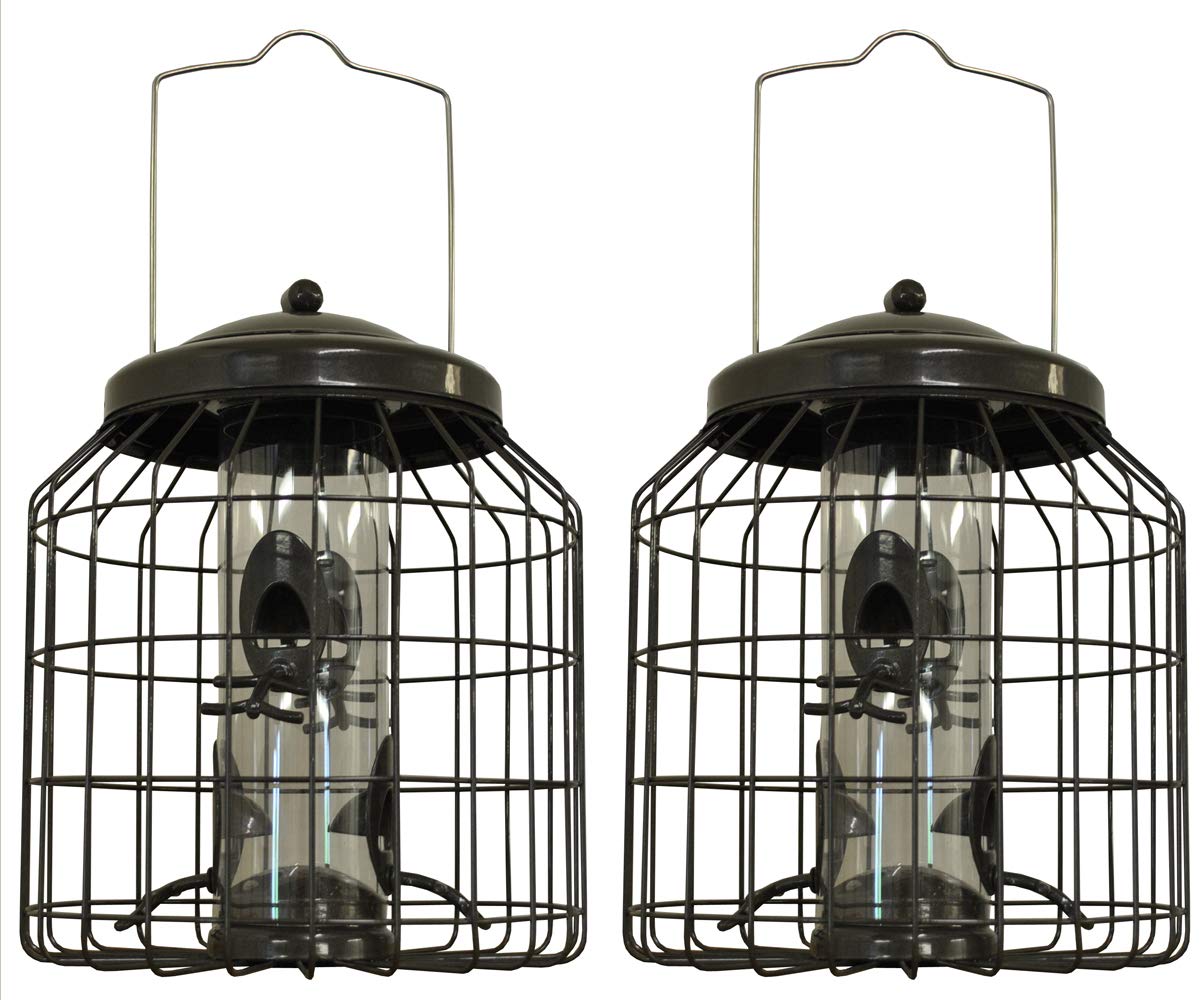 Selections Deluxe Heavy Duty Squirrel Proof Hanging Bird Seed Feeder Cage (Pack of 2)