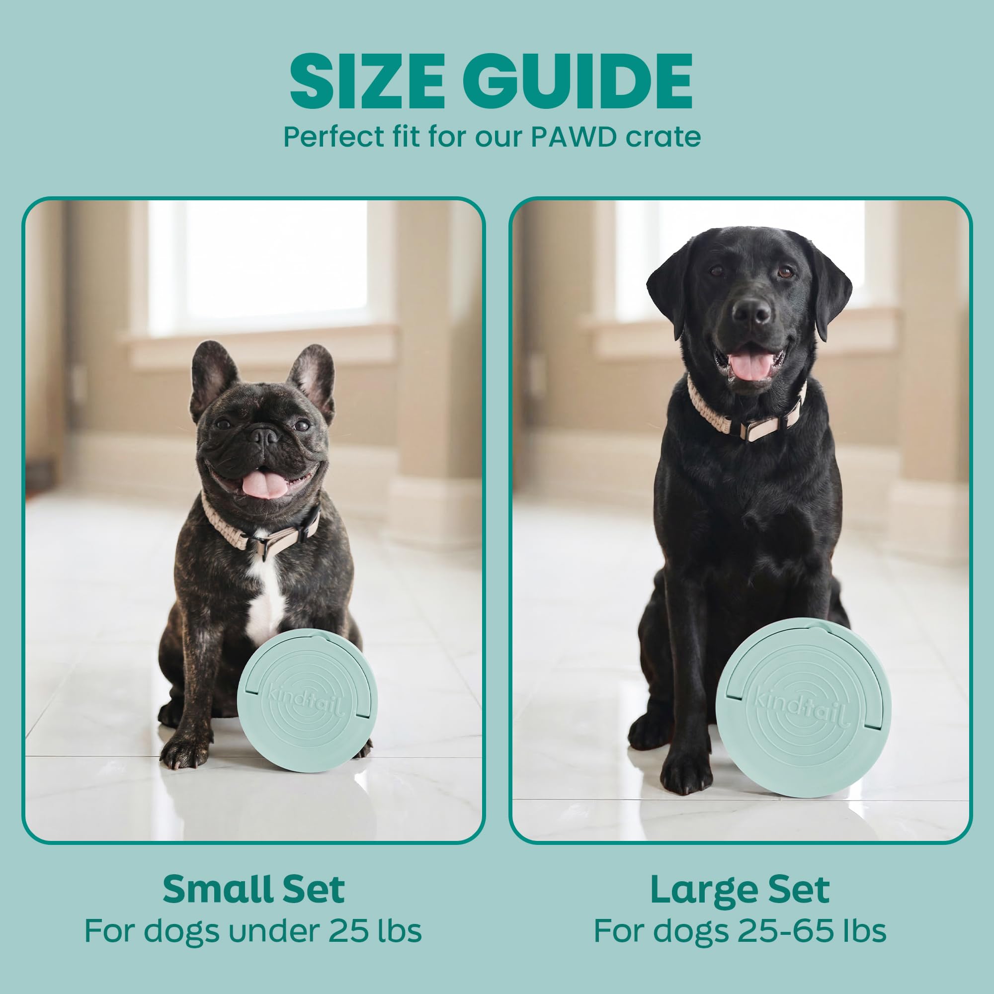 KindTail Gamelles de Voyage pour Chien – Lot de 2 gamelles Portables pour Nourriture et Eau avec Couvercle et poignée – Chaque récipient gigogne Comprend Une Base en Silicone antidérapante – Passe au