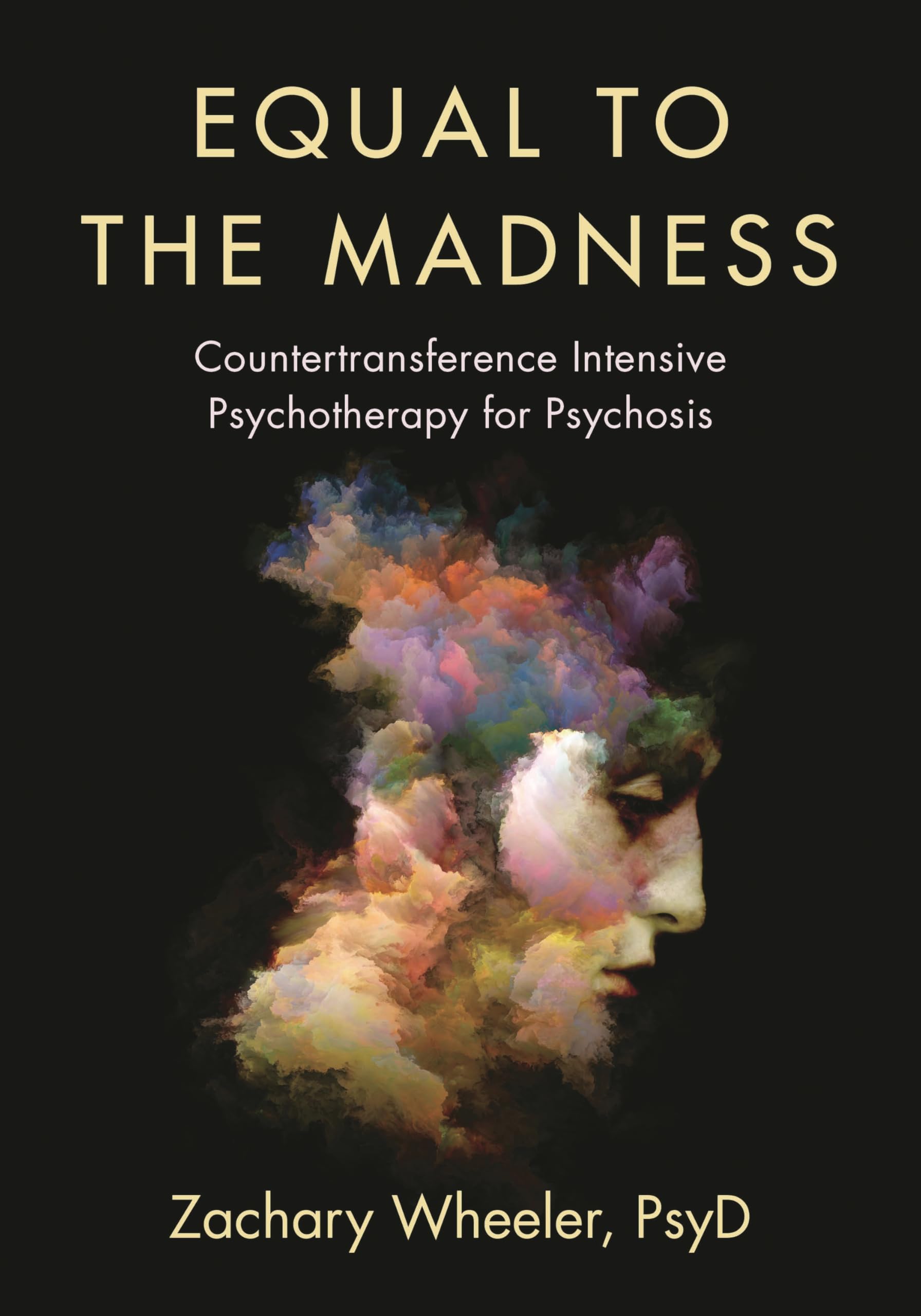 Equal to the Madness: Countertransference Intensive Psychotherapy for Psychosis