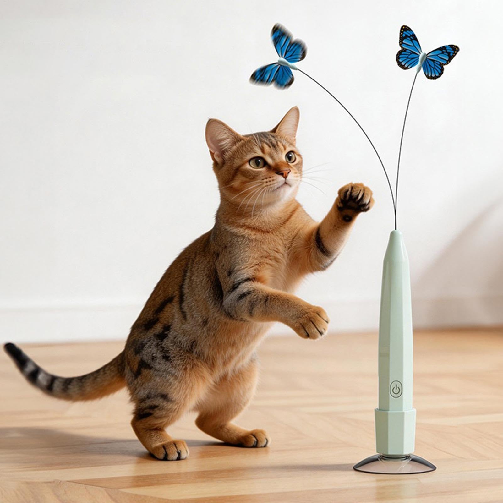 interactivo para gatos | automática con , juguetes de ejercicio para gatos en interiores, para aliviar el aburrimiento, enriquecer el interior del hogar y apartamento
