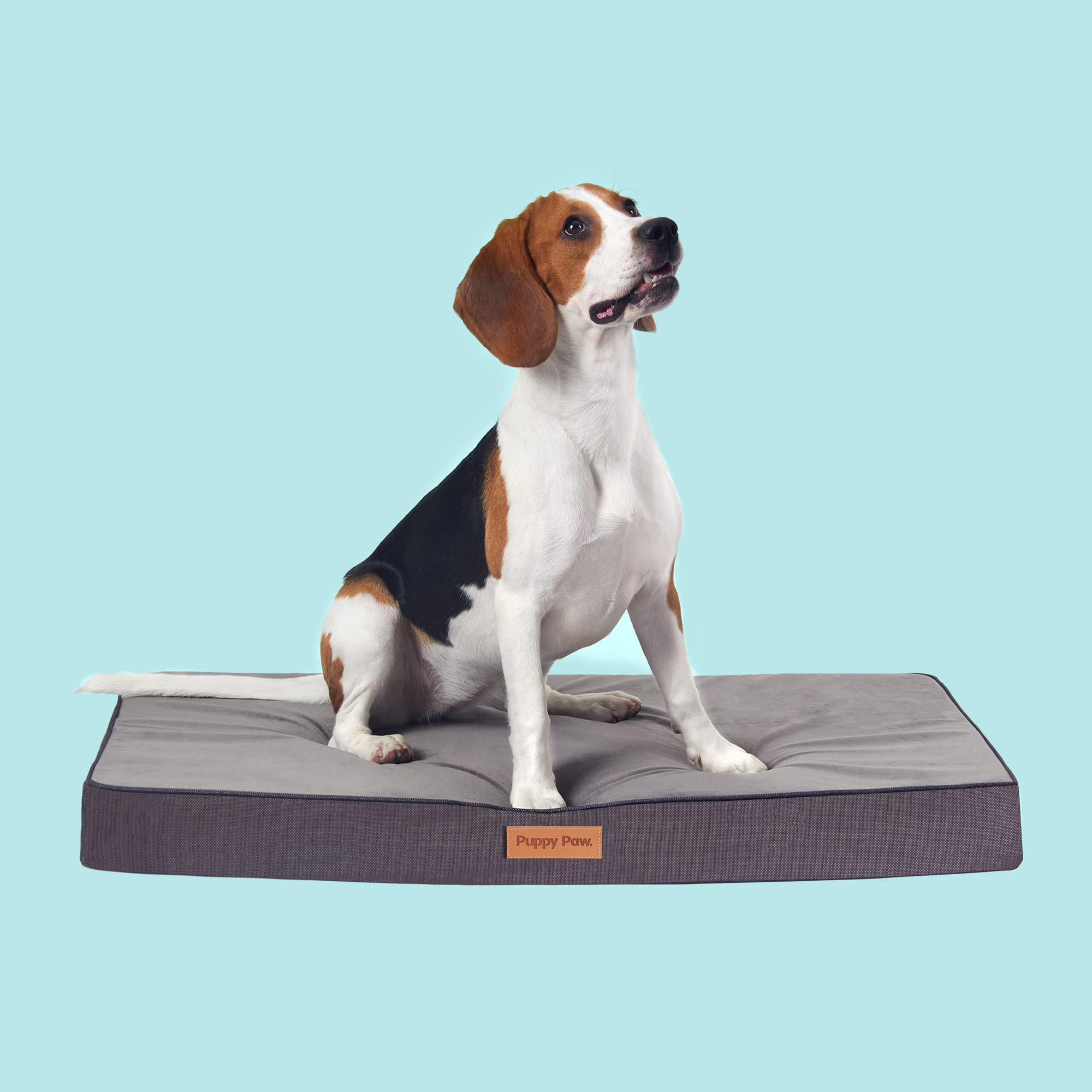 How Do You Get Dog Urine Out Of A Memory Foam Mattress