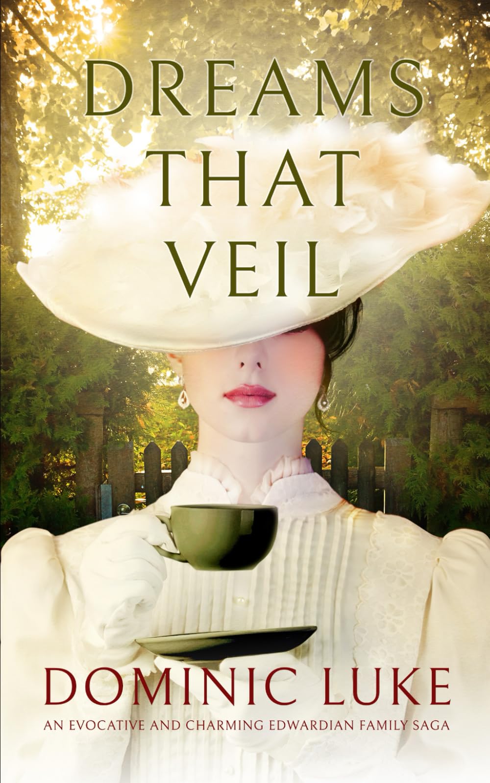 DREAMS THAT VEIL an evocative and charming Edwardian family saga (The Brannan Family Sagas)