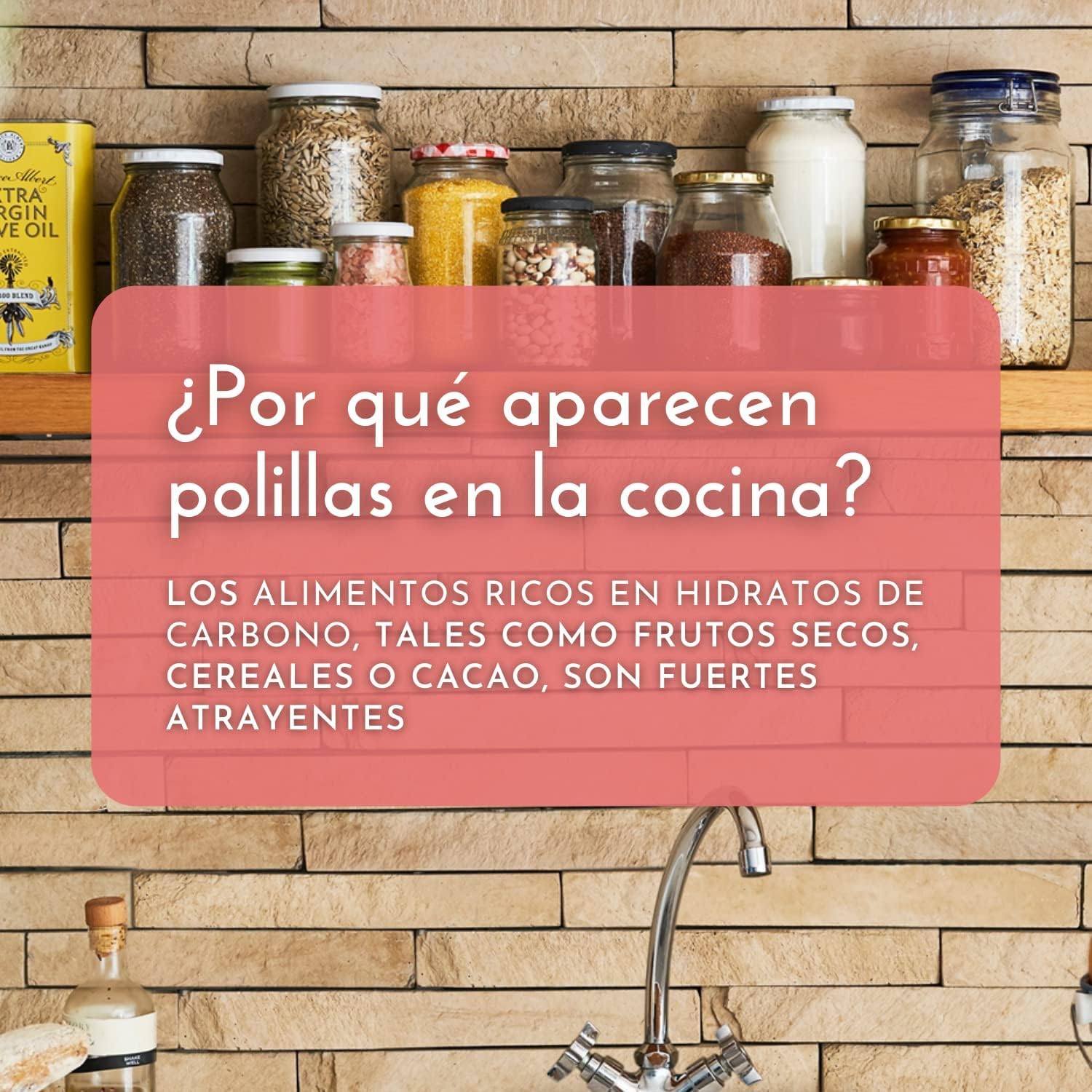 Orion Trappola Per Tarme Alimentari 6 Pezzi - Senza Insetticidi, Inodore, Efficace 6 Settimane Per Dispensa E Cucina