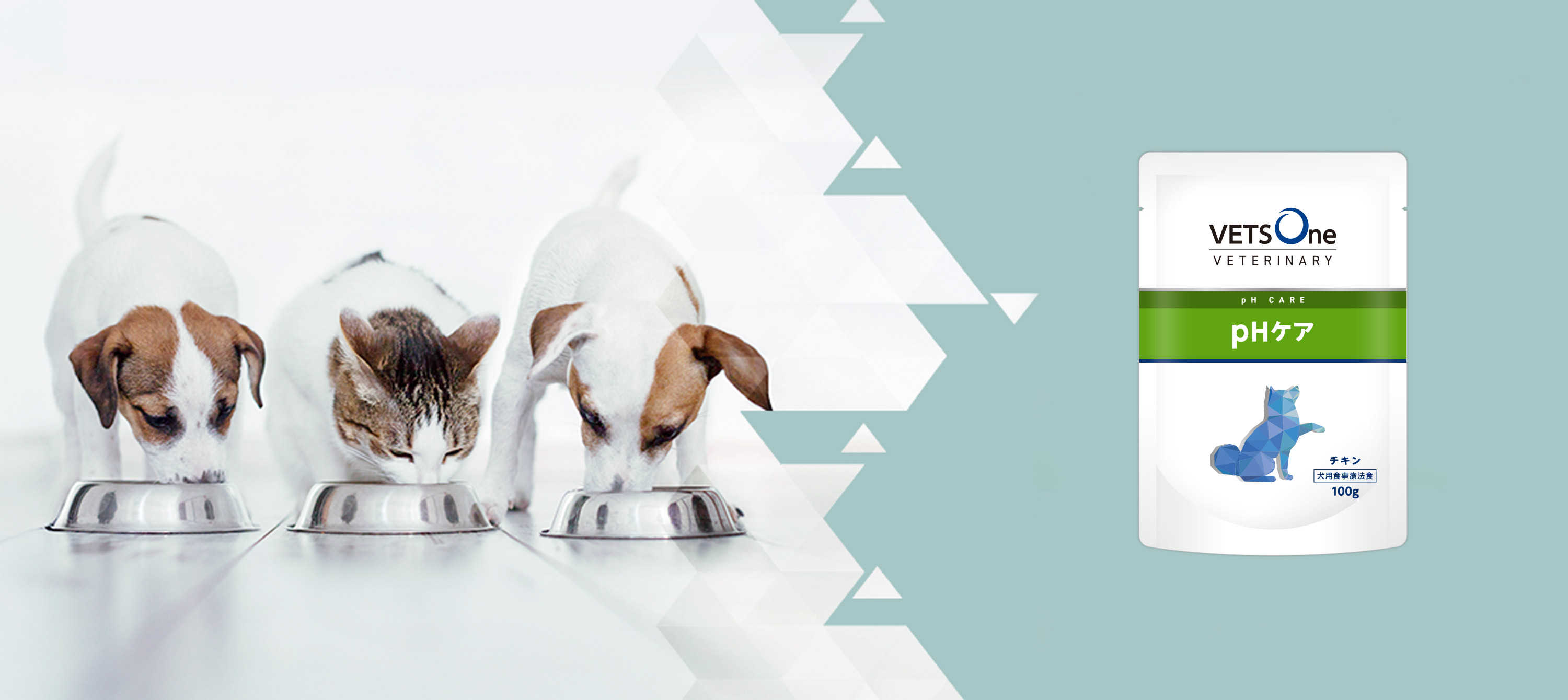 Amazon.co.jp: ベッツワンベテリナリー 犬用 pHケア チキン ウェット