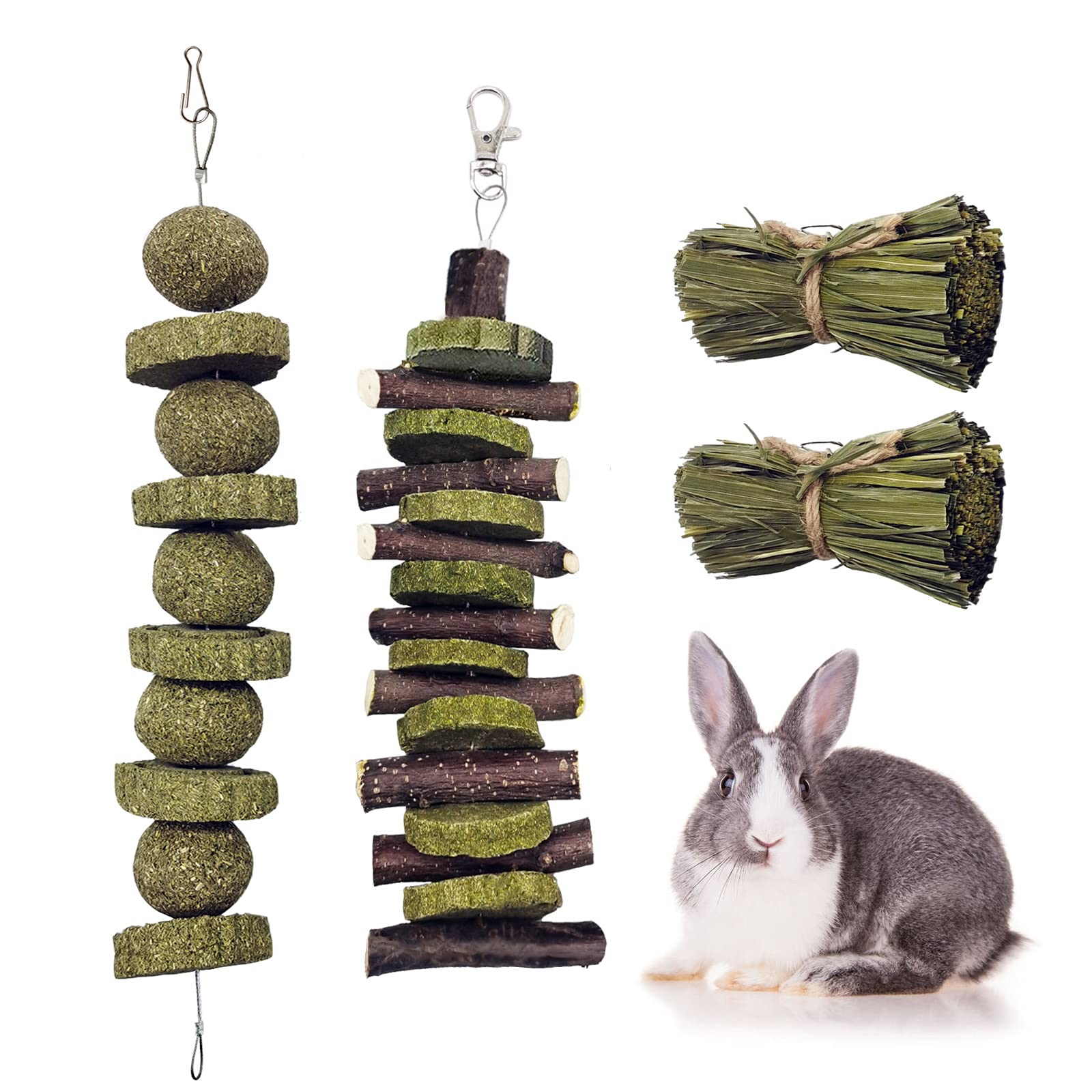 Can Rabbits Chew On Sticks at Deborah Mitchell blog