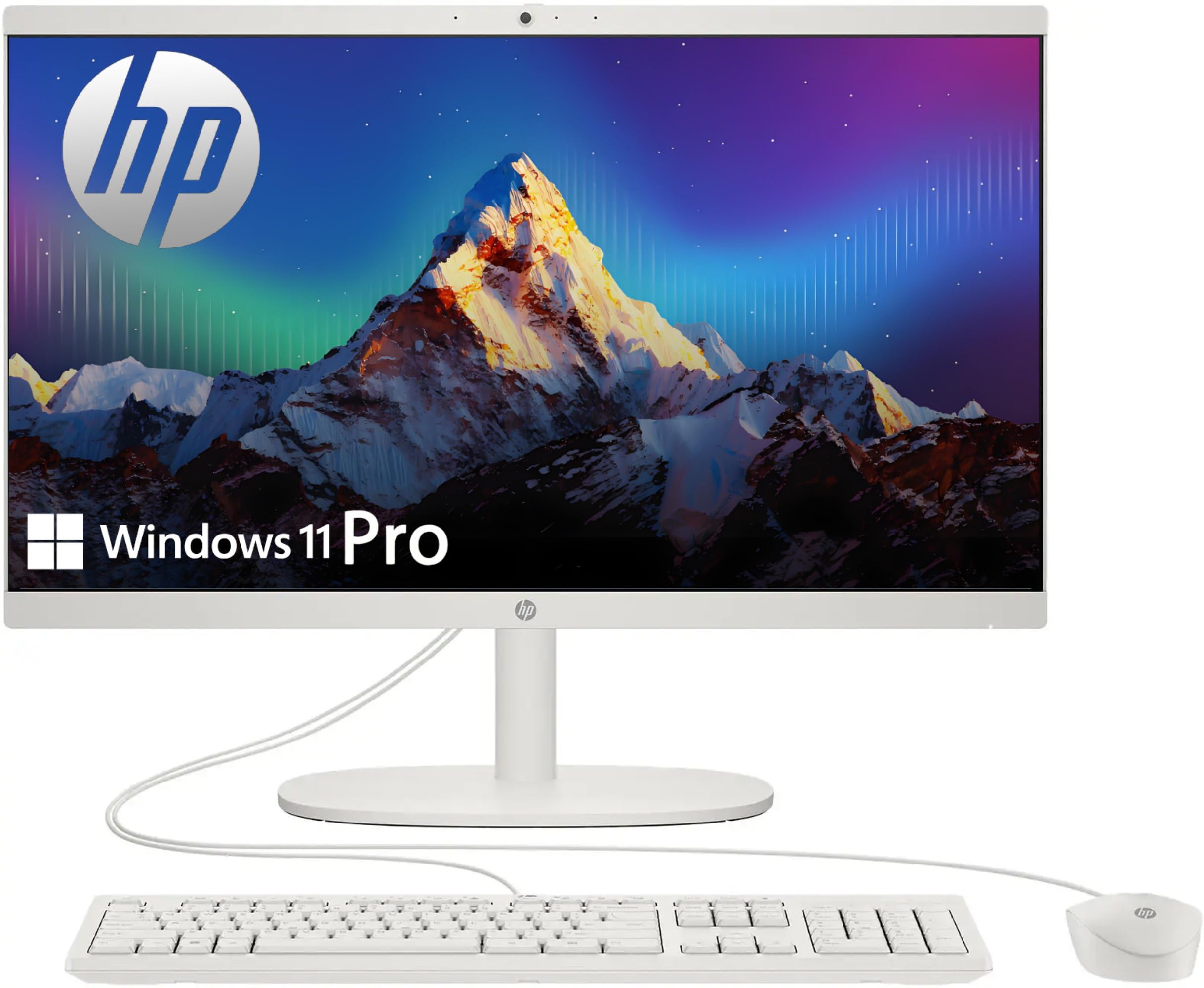 Amazon.com: HP 2025 22