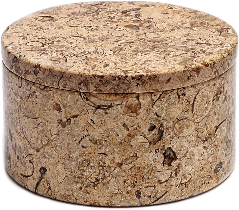 Excellent Gift All Natural Fossil Coral Stone Trinket (Jewelry) Box - 4" Round & 2.5" Tall