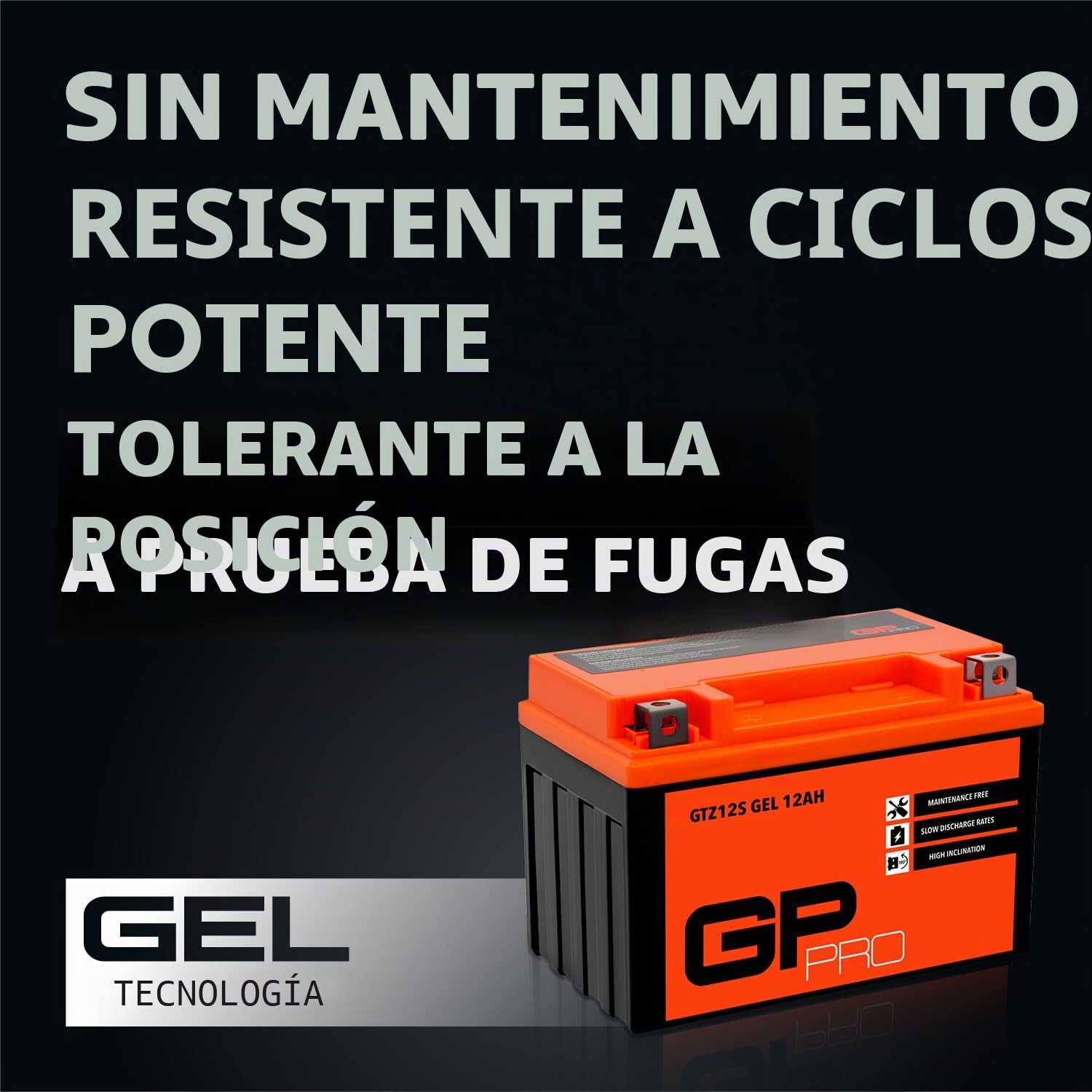 GP-Pro , batería GEL de 12 V y 12 Ah (tipo GTZ12S), para Motocicleta