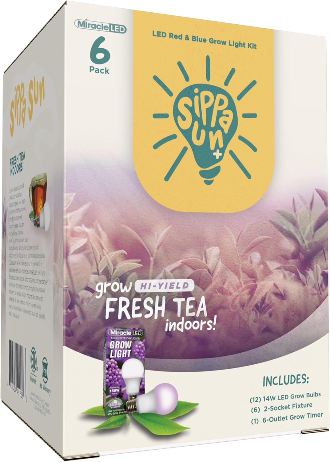 Miracle LED Sippa Sun Indoor Tea Grow Light Kit – Home Grown Green, Black, Oolong Tea – Absolute Daylight Plus Red & Blue Spectrum Replace 150W Grow Bulbs & 2-Socket Corded Fixture with Timer (6-Pack)