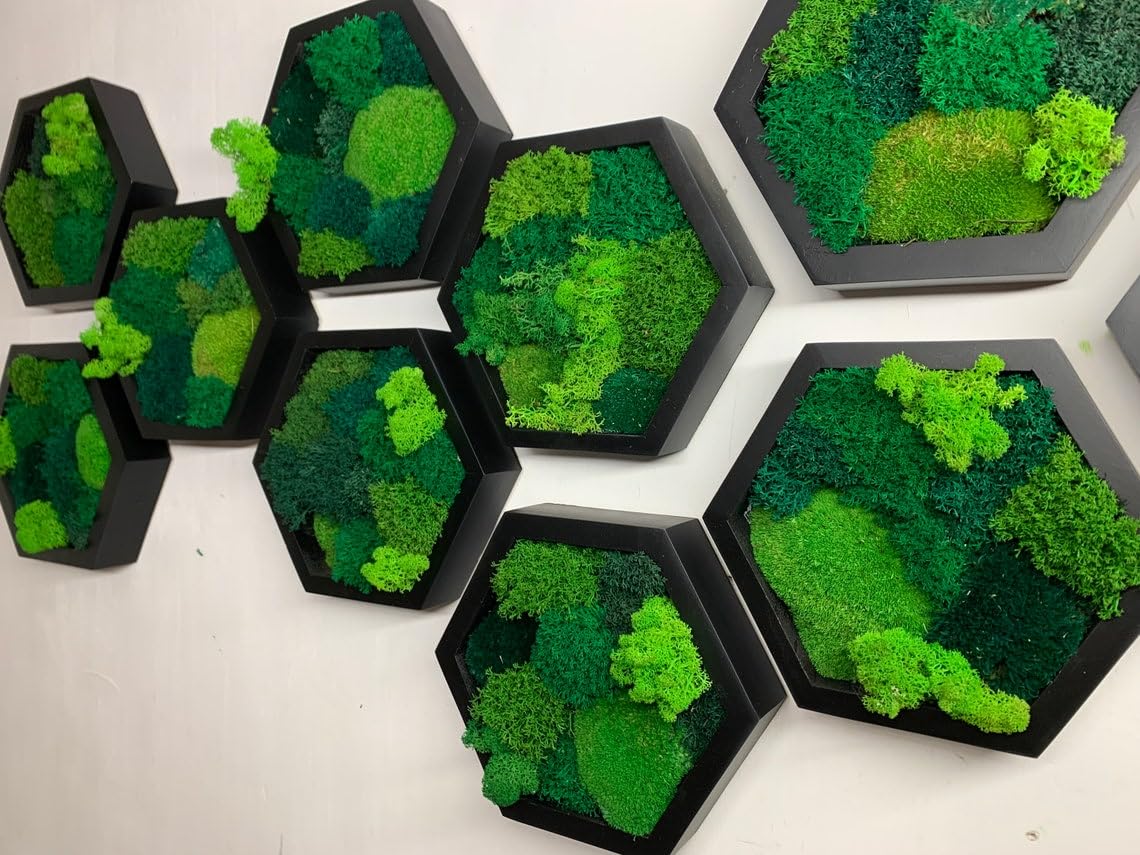 Moss Hexagons