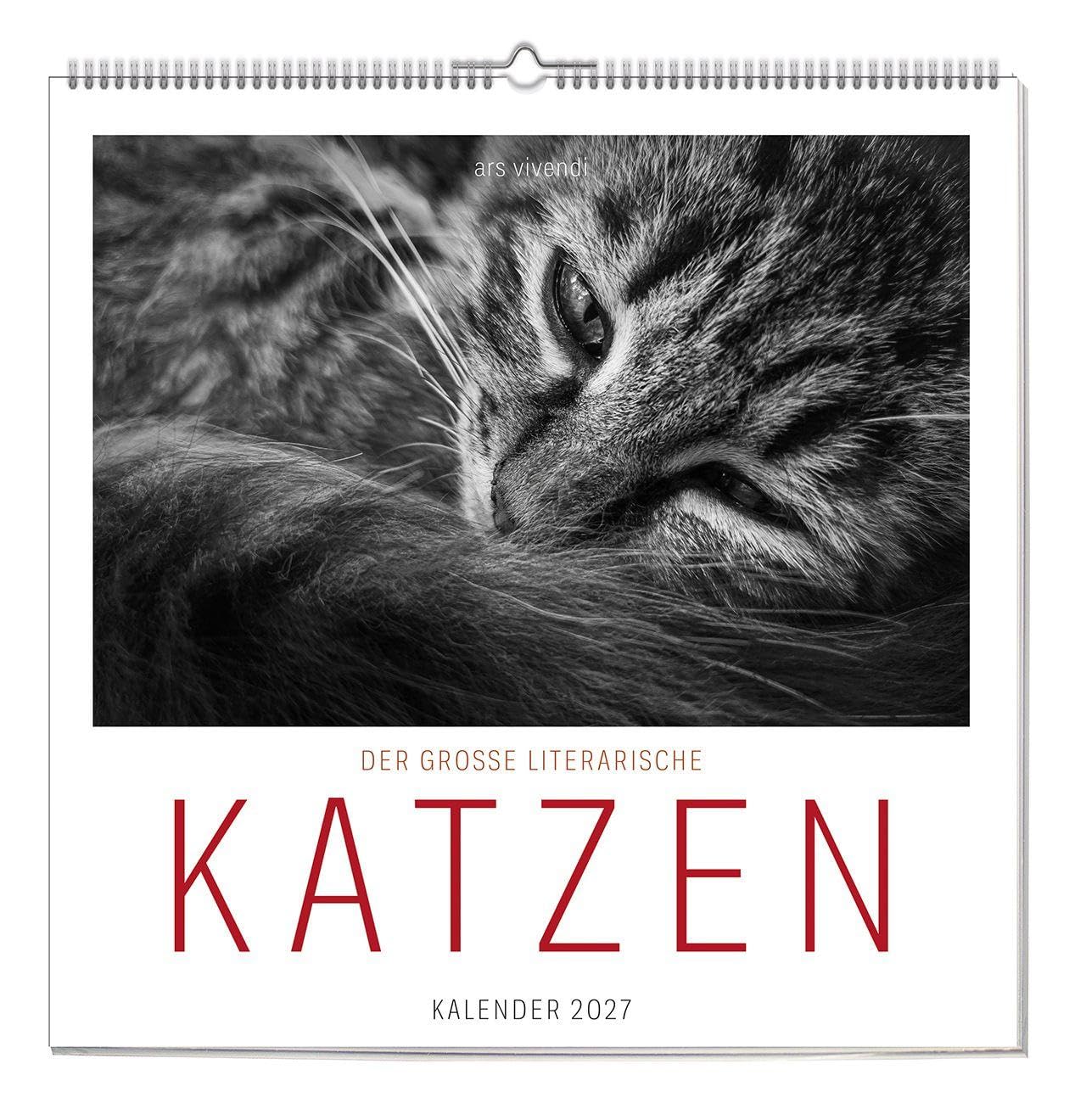 Der große literarische KATZEN Kalender 2027 – Wandkalender mit Katzenfotos & gefühlvollen Texten – Inspirierendes Geschenk für Katzenliebhaber & Tierfreunde