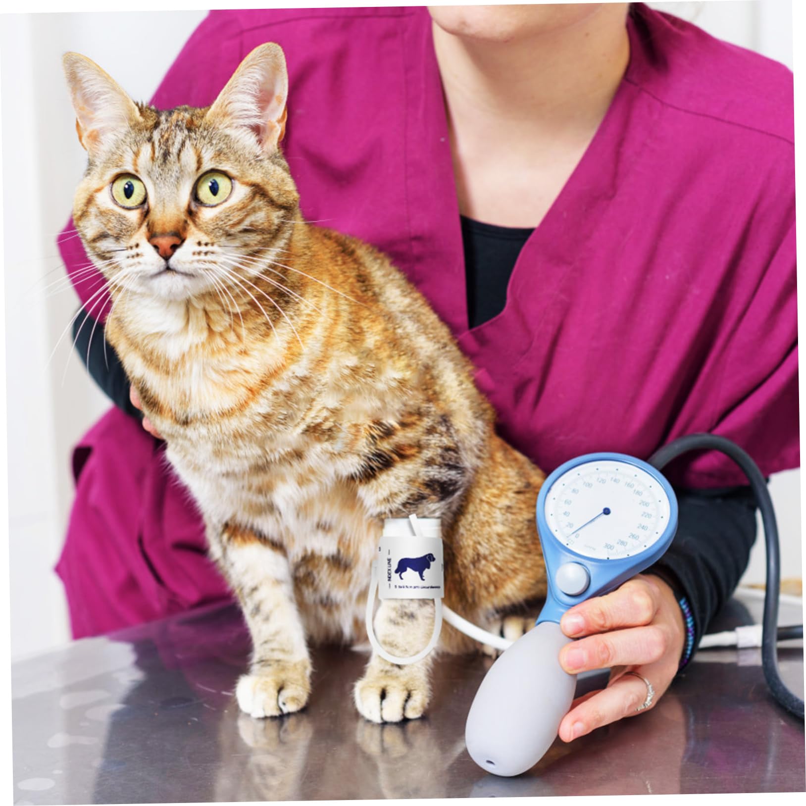 INOOMP Pressione Braccio Misuratore Bracciale di per e Animali Morbida in Tessuto Non Tessuto, Struttura Ragionevole Circonferenze 5-9,5cm Adatto Uso