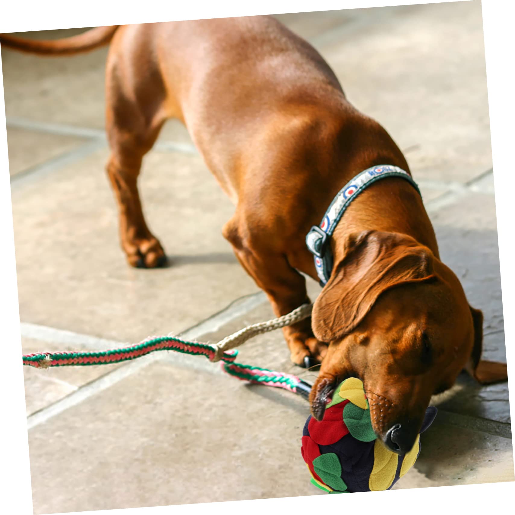 FRCOLOR 3stücke Hundeschnüffelball Interaktives Futterspielzeug Für Hunde Fördert Nasenarbeit Spielzeug Für Langsames Fressen Und Mentale Für Kleine Und Mittelgroße Hunde Retro